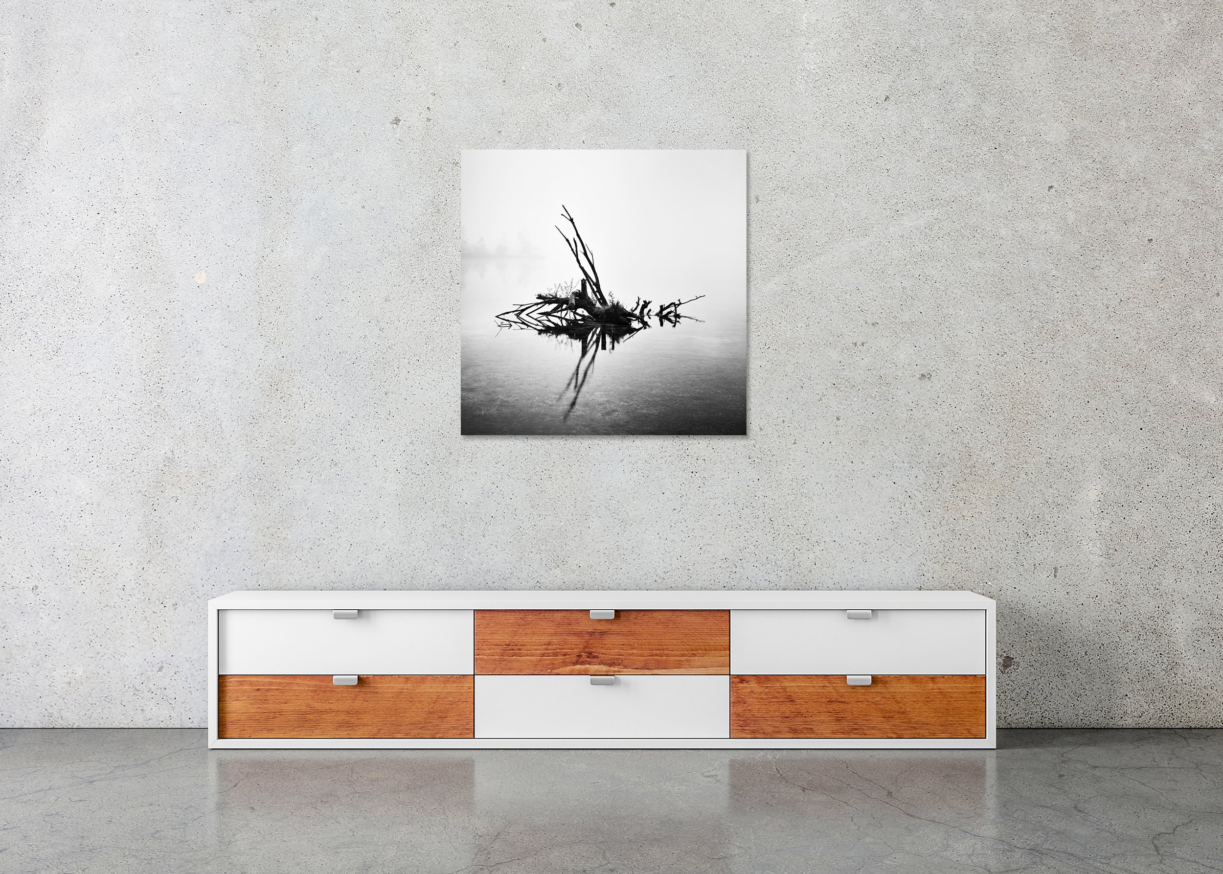 Fallen Tree Study 1 displayed in a modern interior as a frameless black-and-white aluminium Dibond print by Gerald Berghammer.