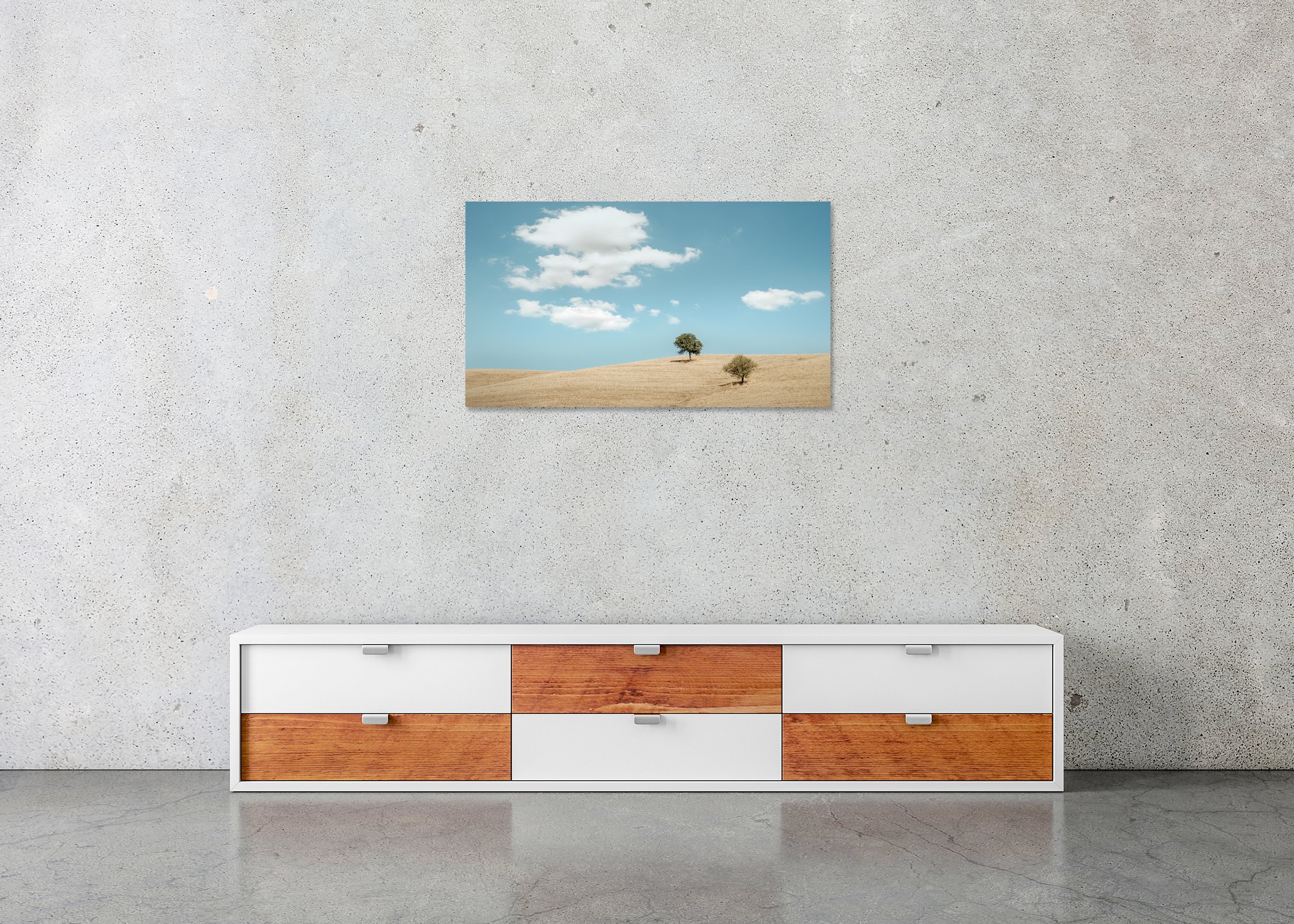 Rolling Hills with Trees, Study 2 – Tuscany, colour photo print mounted on Dibond, frameless