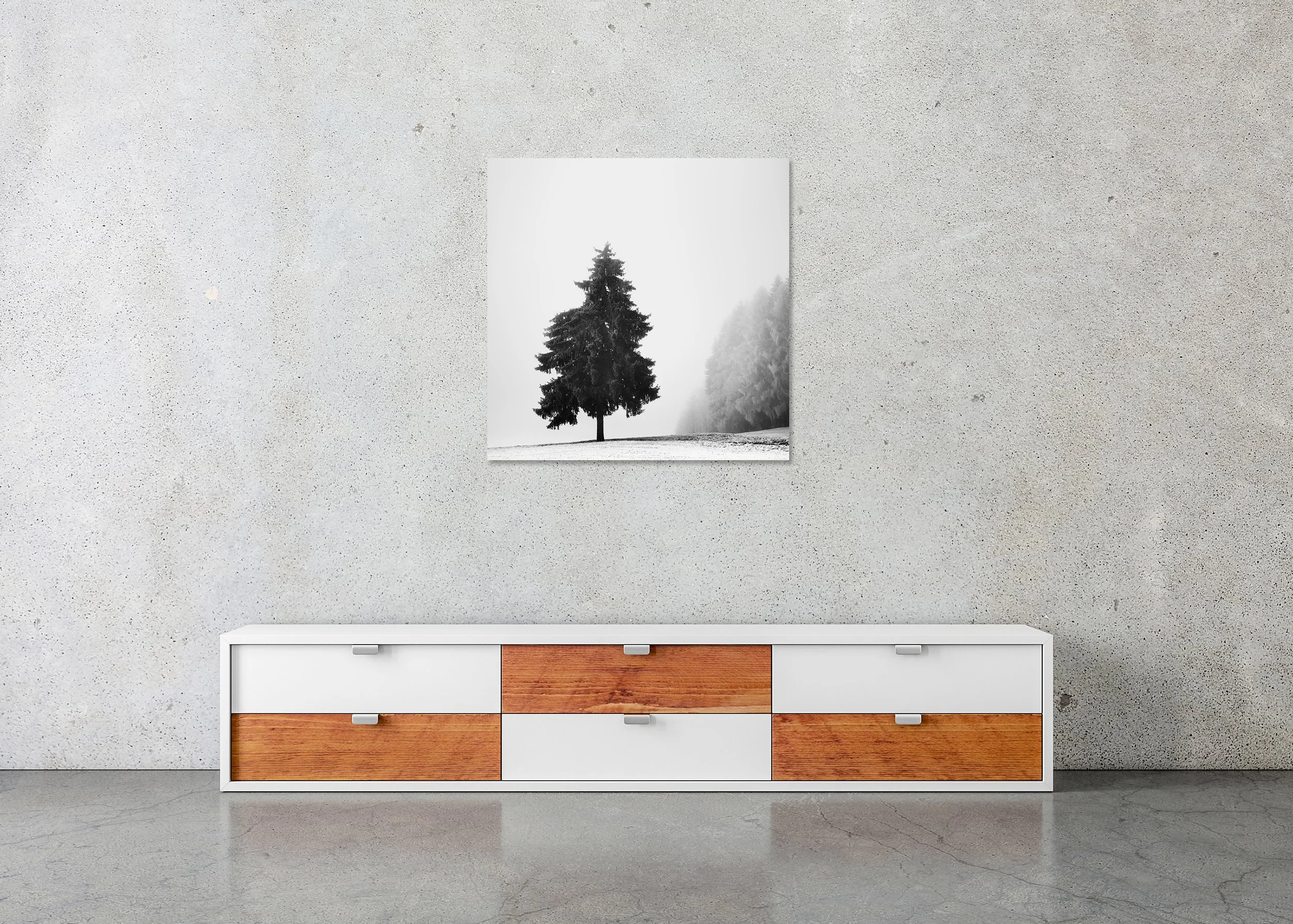 Christmas Tree Study 1 displayed in a modern interior as a frameless black-and-white aluminium Dibond print by Gerald Berghammer.
