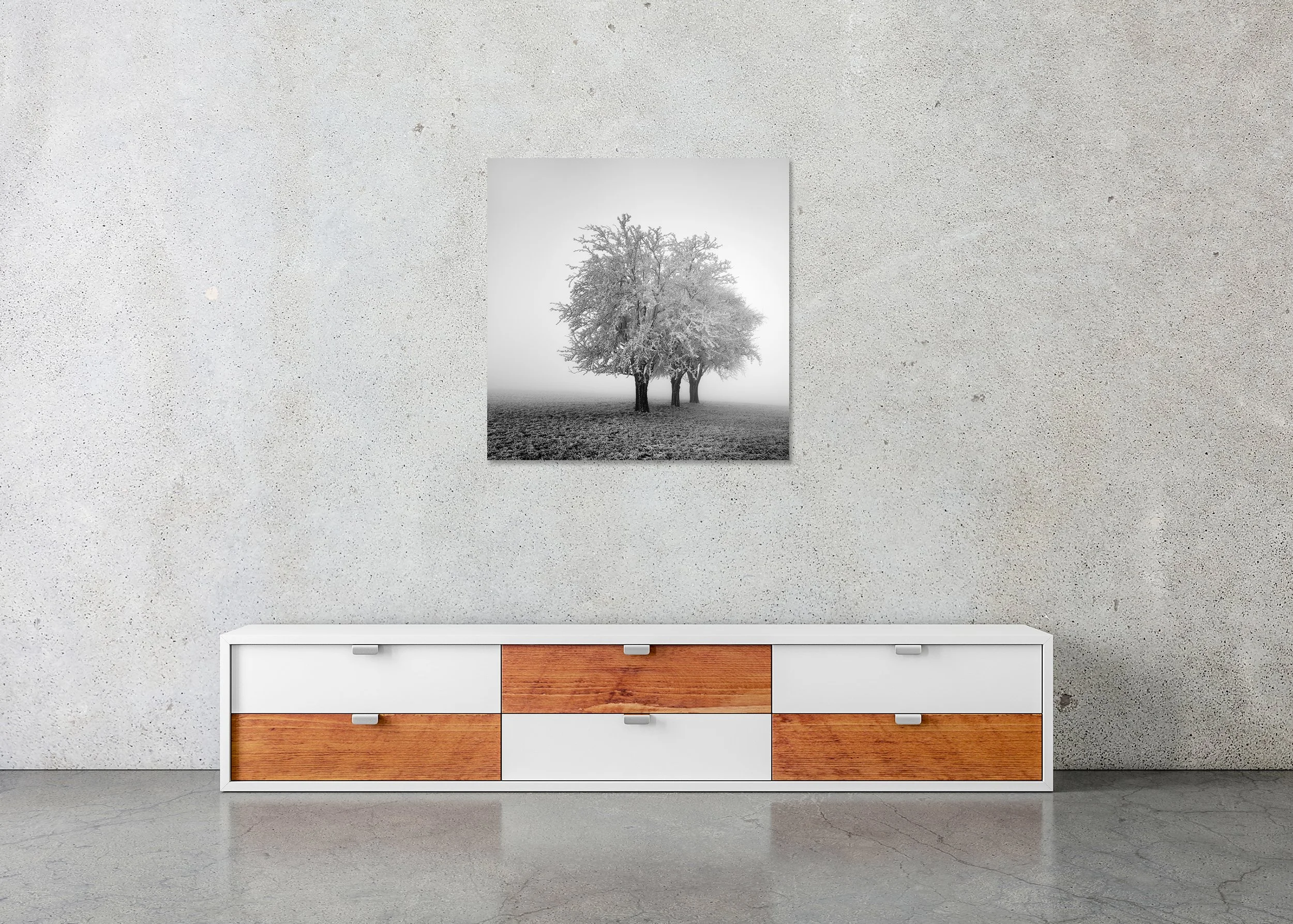Frozen Apple Trees Study 2 displayed in a modern interior as a frameless black-and-white aluminium Dibond print by Gerald Berghammer.
