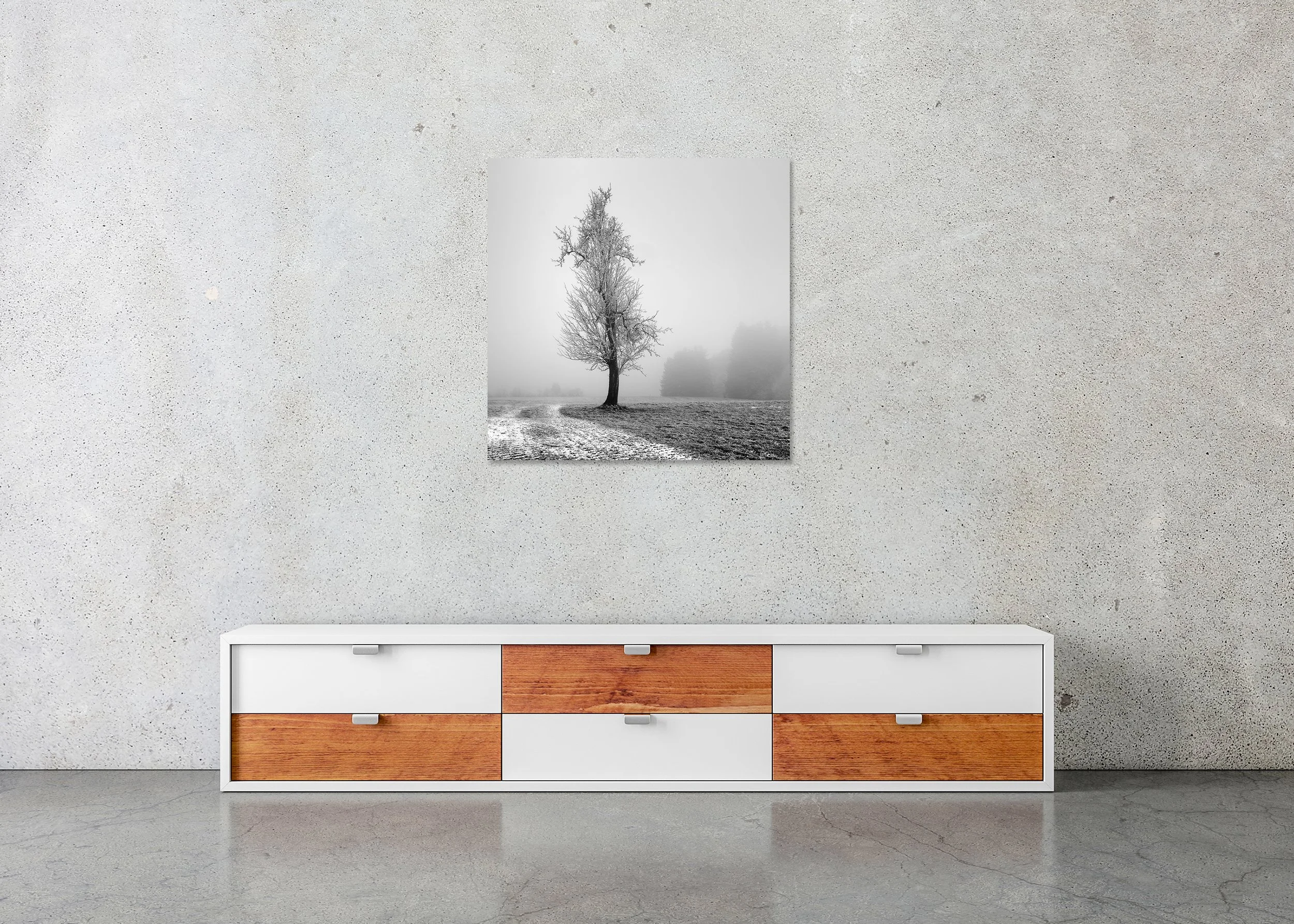 Black and white landscape print with a bare tree, fog and frosty grass, photo print mounted to Dibond, frameless