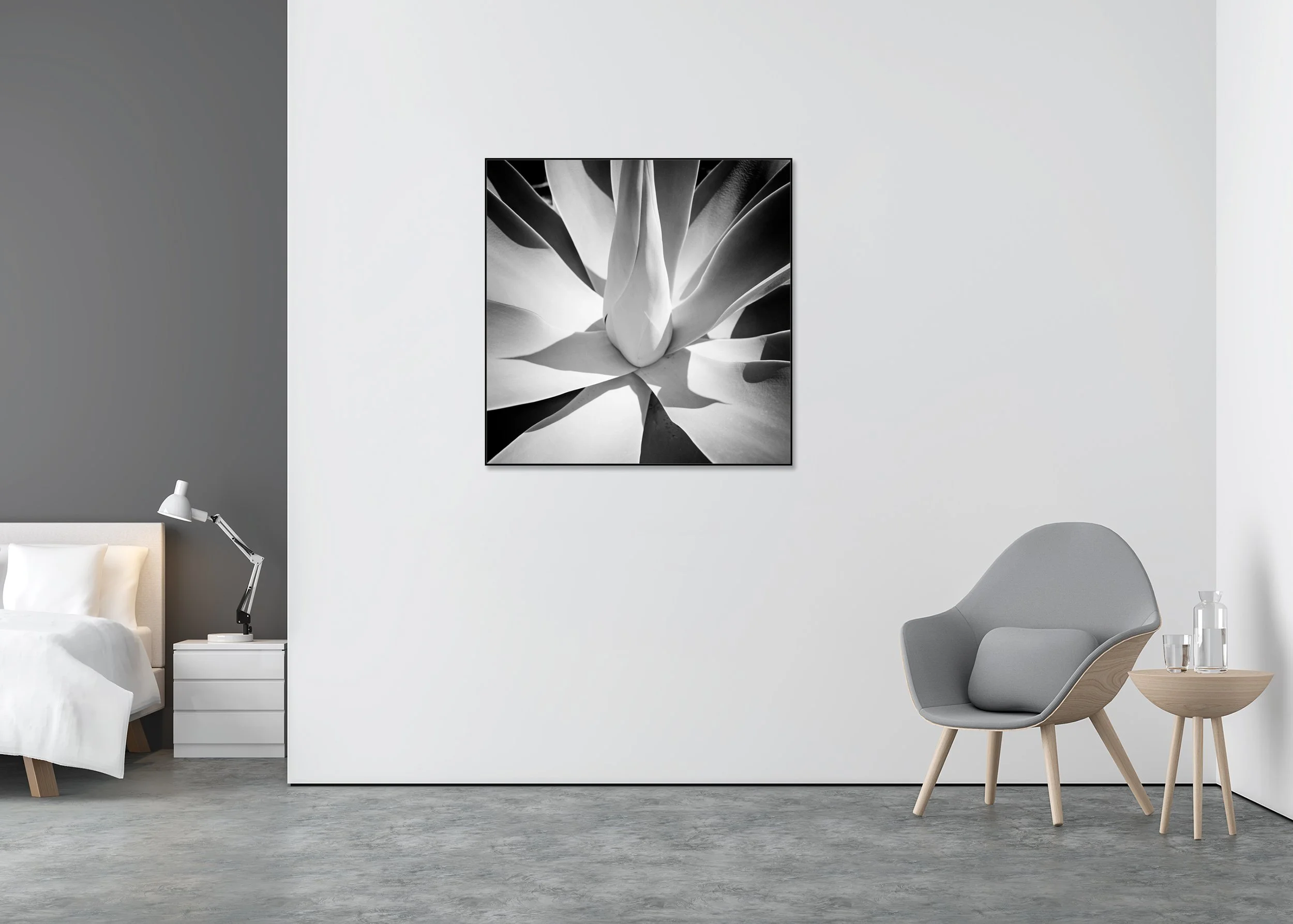 Minimalist black-and-white agave from above, clean lines and strong contrast; photo print mounted to Dibond in an aluminium ArtBox frame.