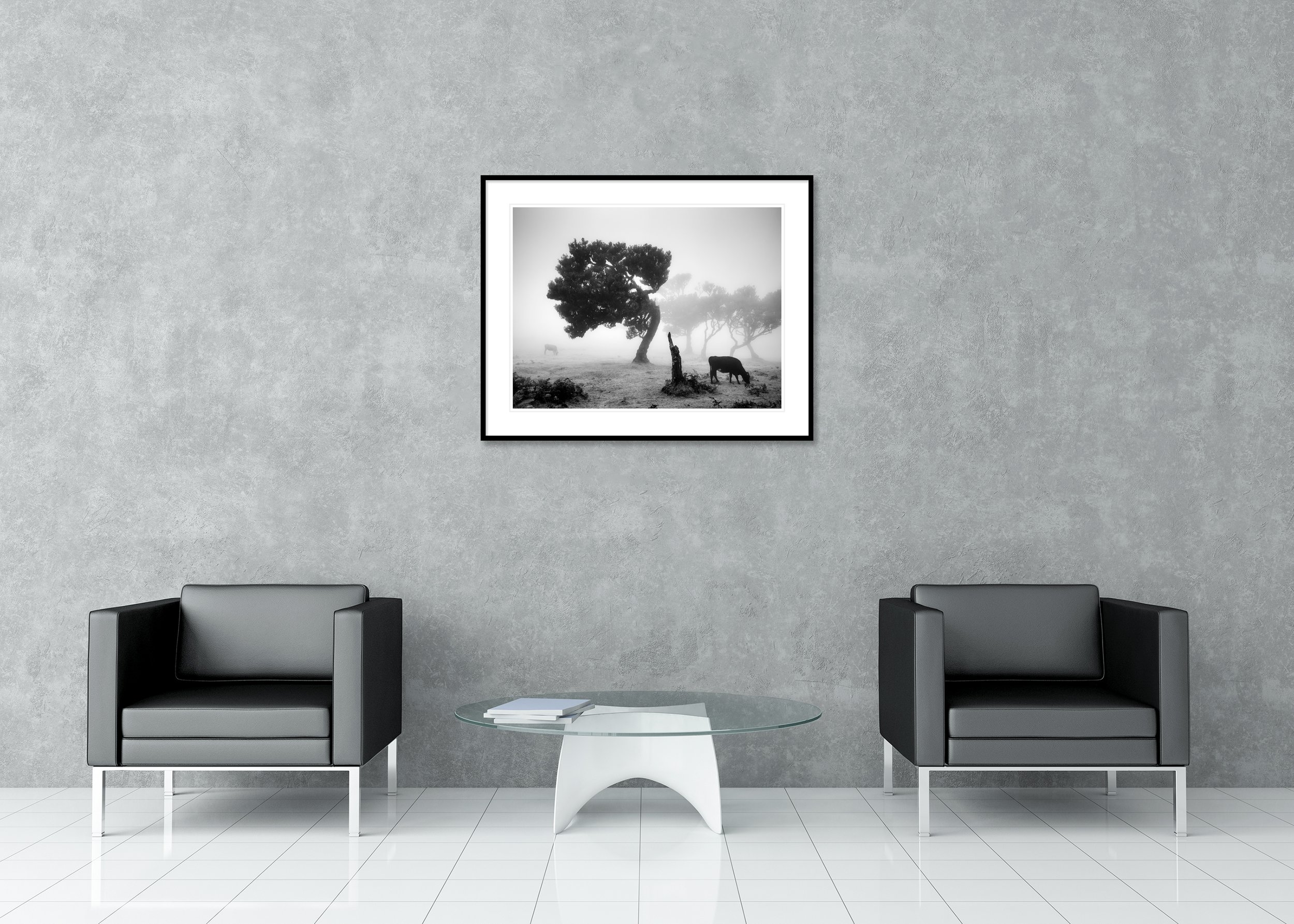 Archival pigment print in monochrome: foggy meadow with a tilted tree, tree stump and grazing cow in a classic frame.