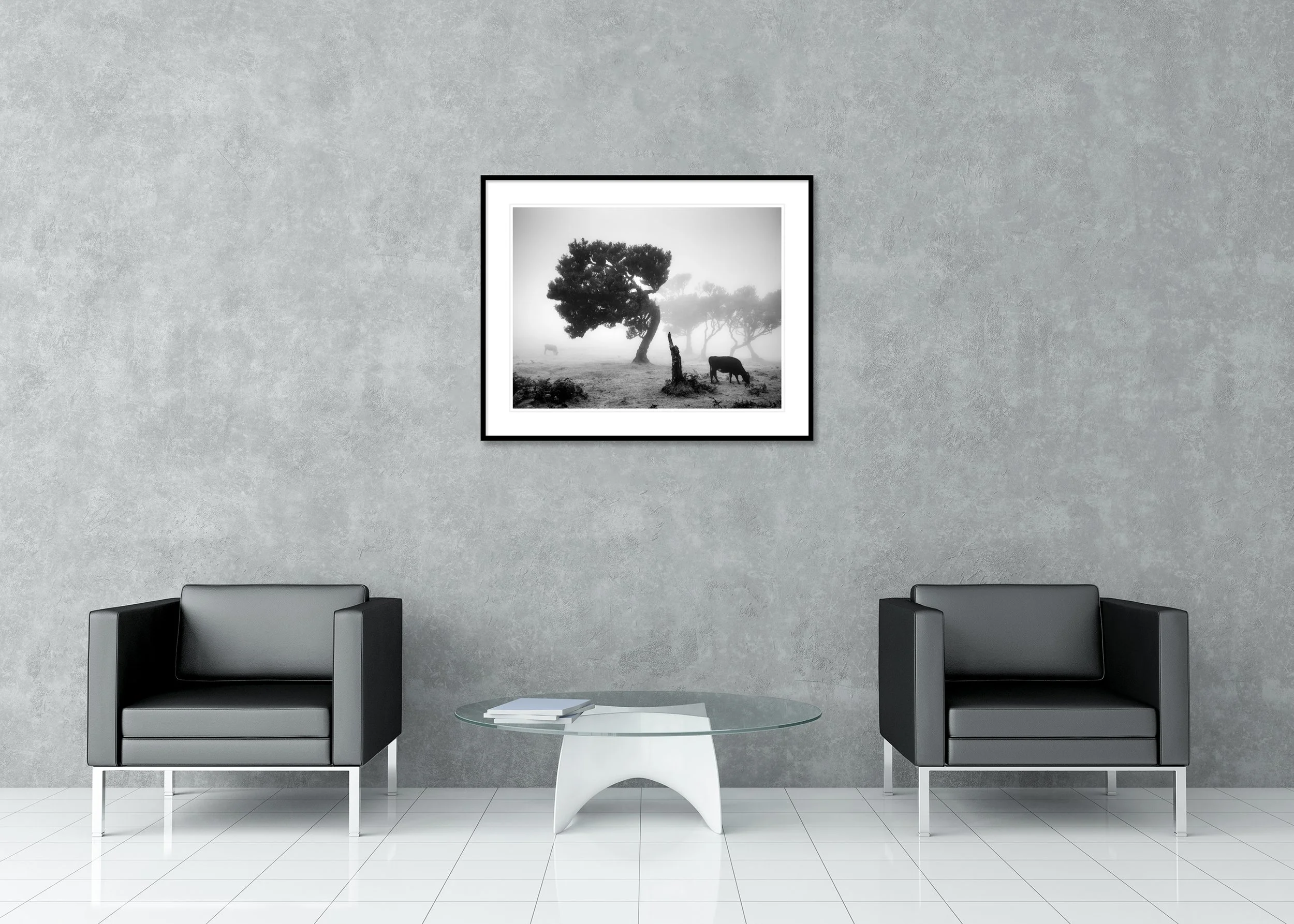 Atmospheric foggy meadow in monochrome with a tilted tree, a tree stump and a grazing cow, with faint trees in the background, archival pigment print in a classic frame with a mount