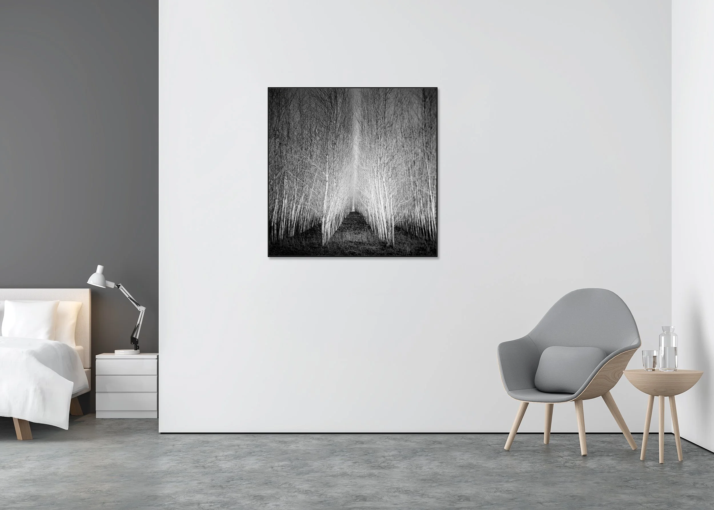 Black-and-white photo of a symmetrical corridor of tall, leafless trees forming a narrow forest path, Dibond-mounted photo print in an aluminium ArtBox