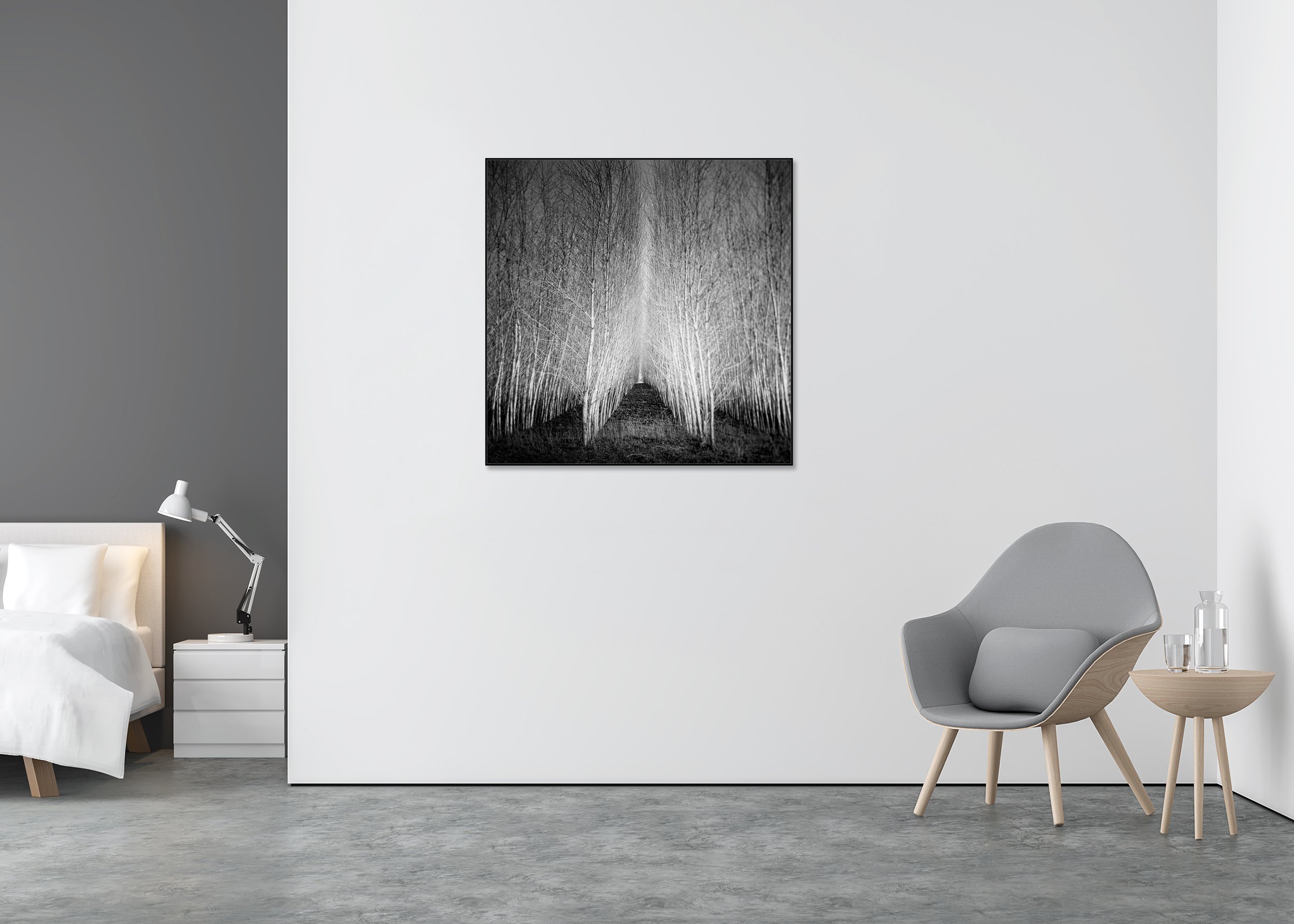 Populus Forest – Tree Avenue displayed on a wall, mounted on aluminium Dibond in a black ArtBox frame by Gerald Berghammer.