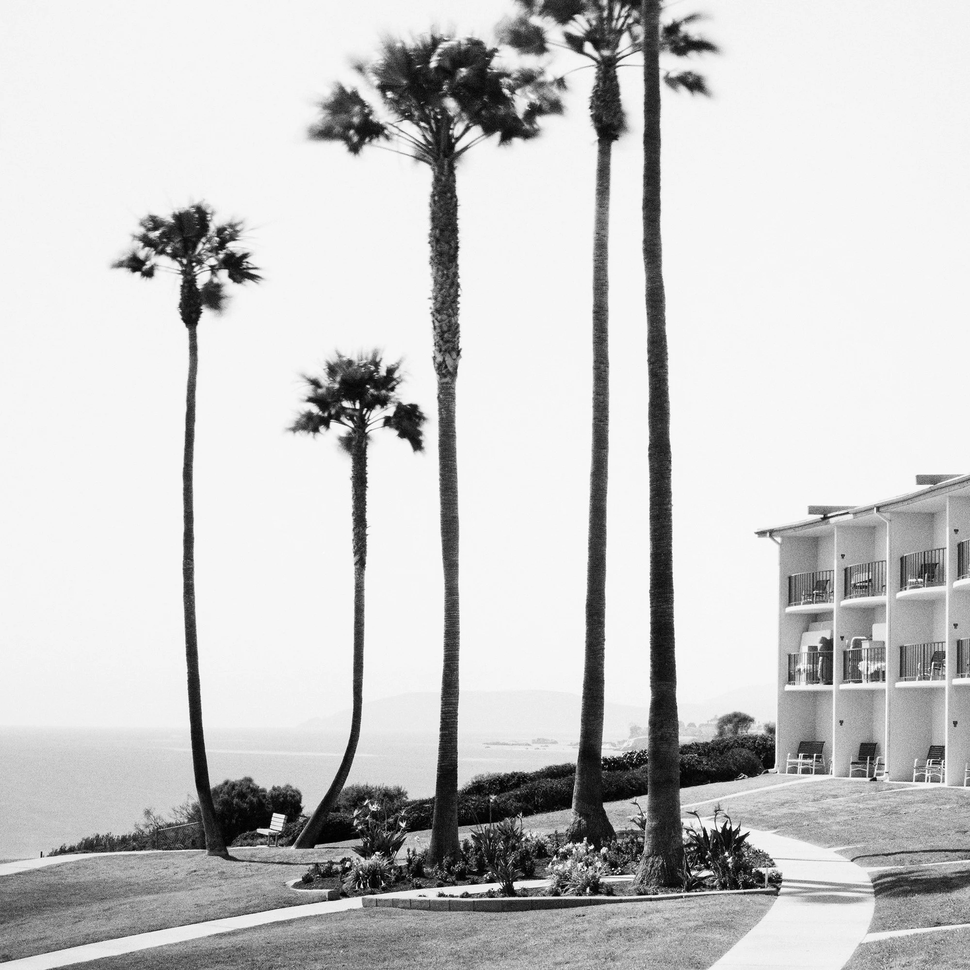 Gerald Berghammer - Black and white landscape photography. Seaside hotel with multiple balconies, a curved walkway, and tall palm trees near the ocean. Print detail 3