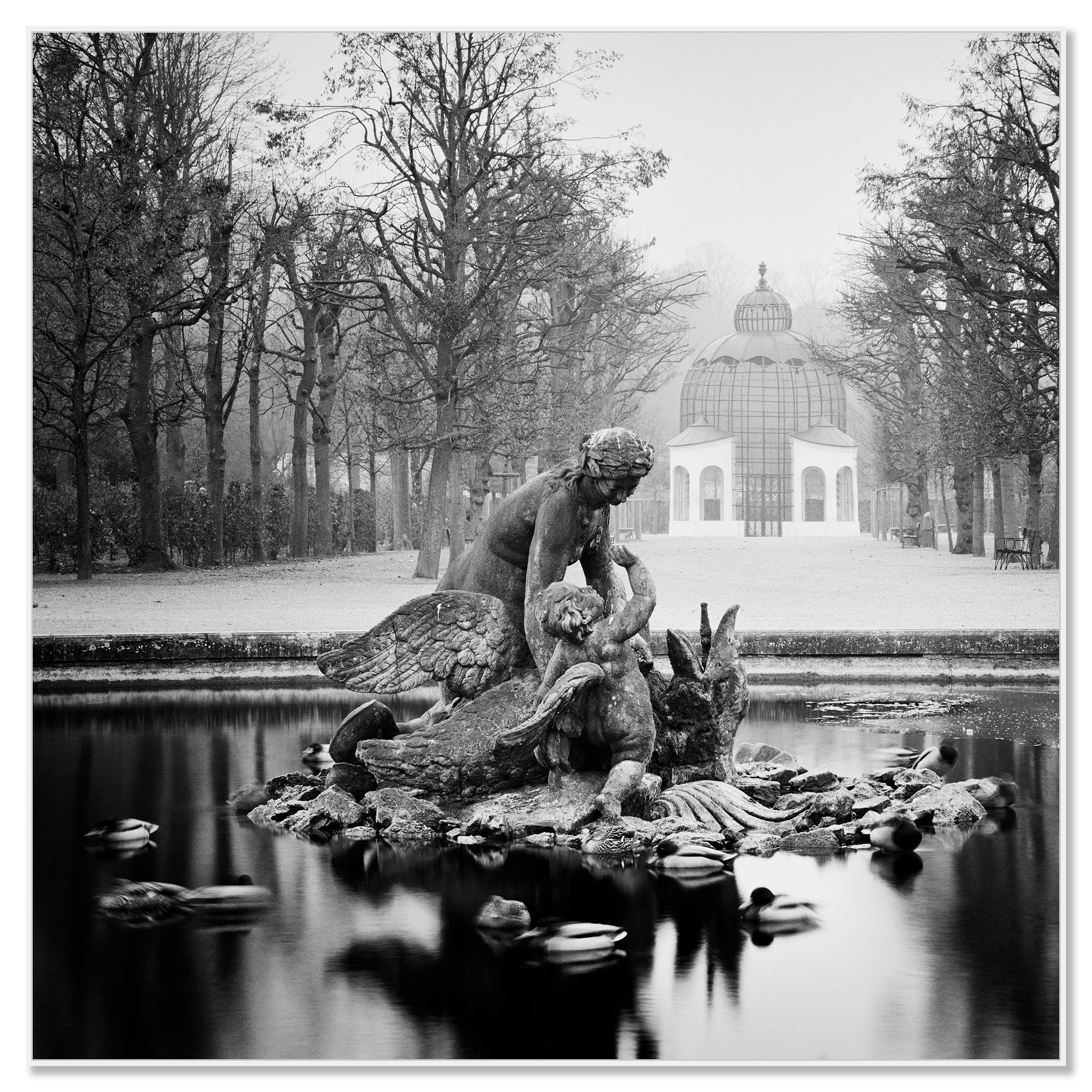 Duck Race by Gerald Berghammer presented in a white aluminium ArtBox frame.