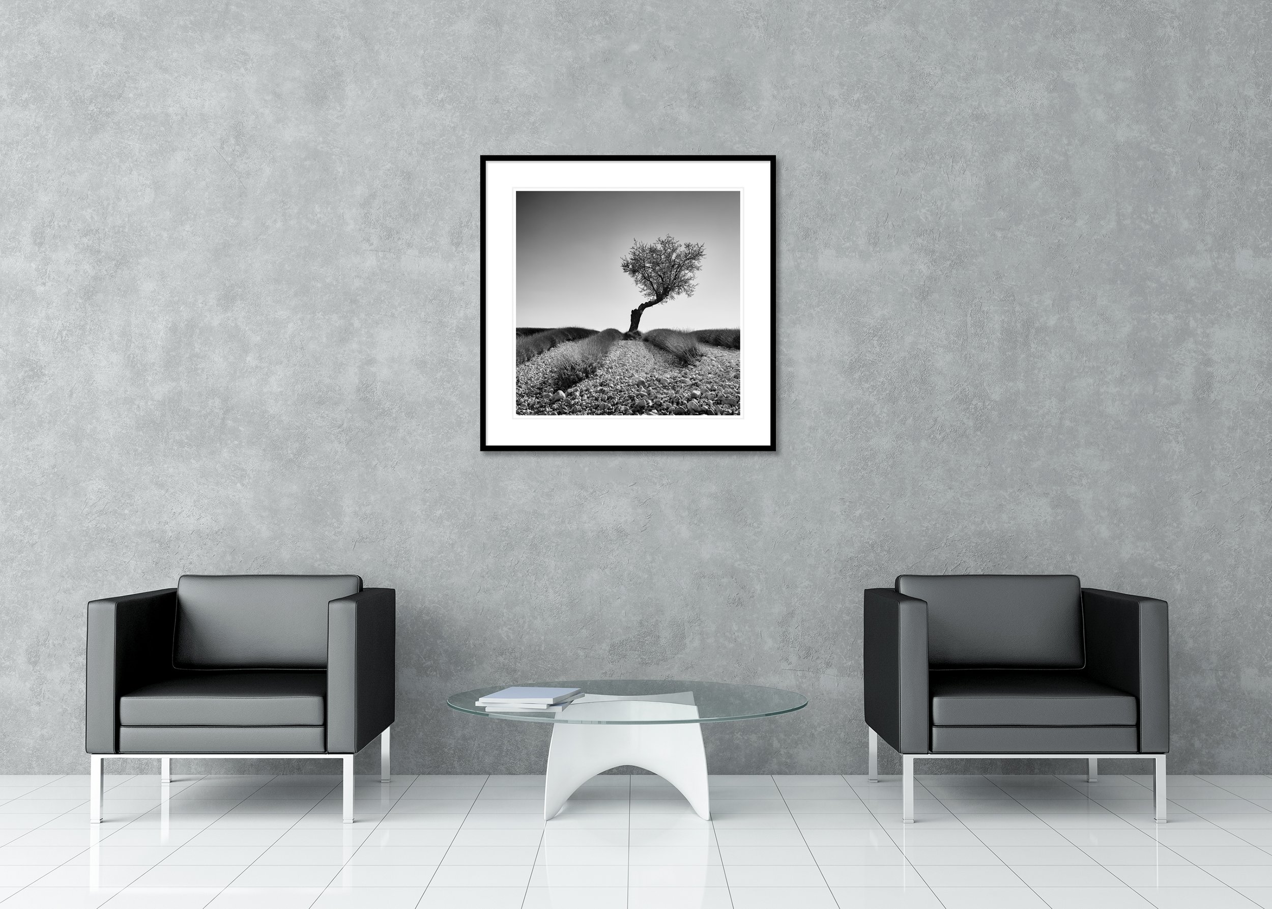Tree in a Stony Lavender Field Study 1 displayed in a modern interior as an archival pigment print in a black aluminium frame with white mount by Gerald Berghammer.