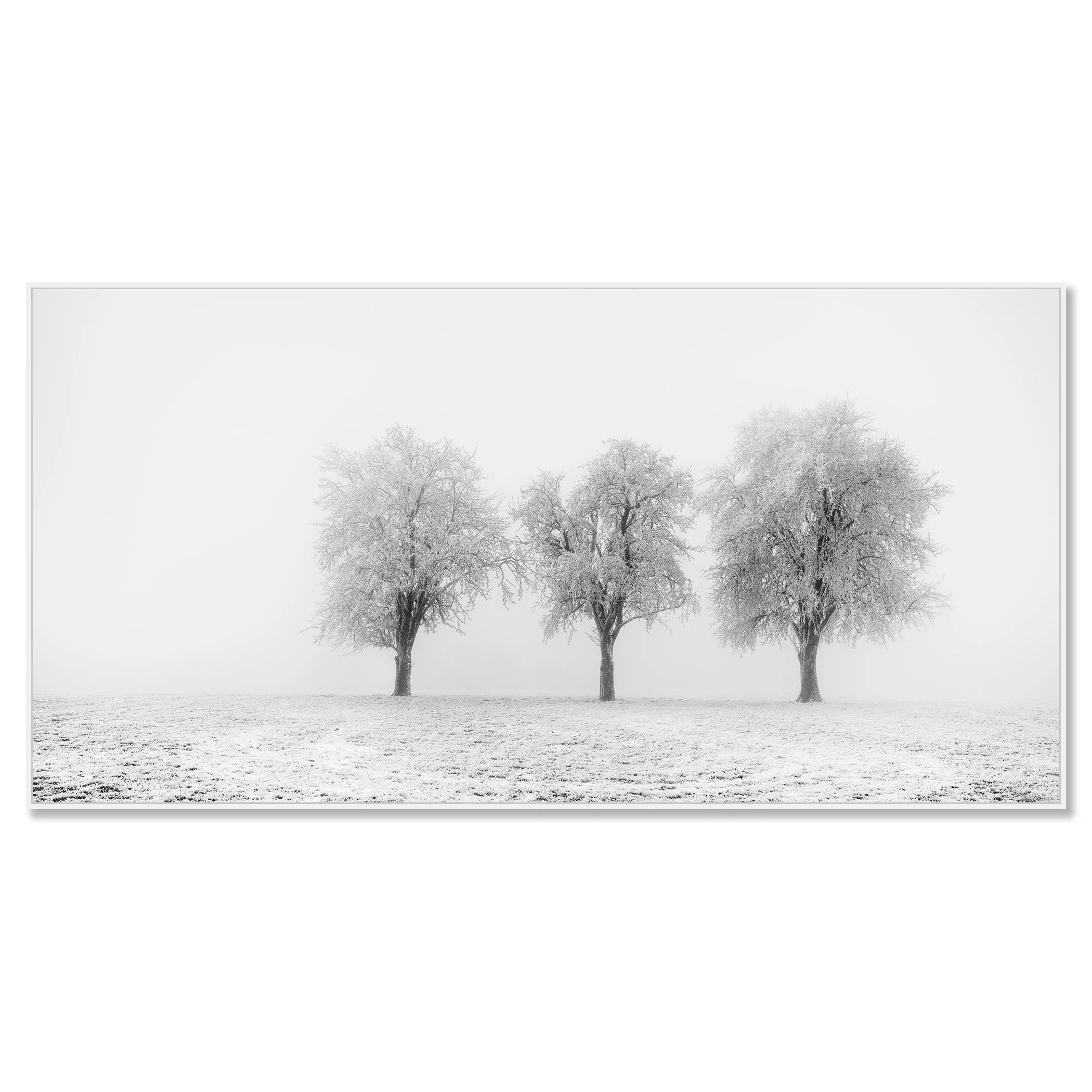 Frozen Apple Trees Panorama Study 2 mounted on aluminium Dibond in a white ArtBox frame by Gerald Berghammer.