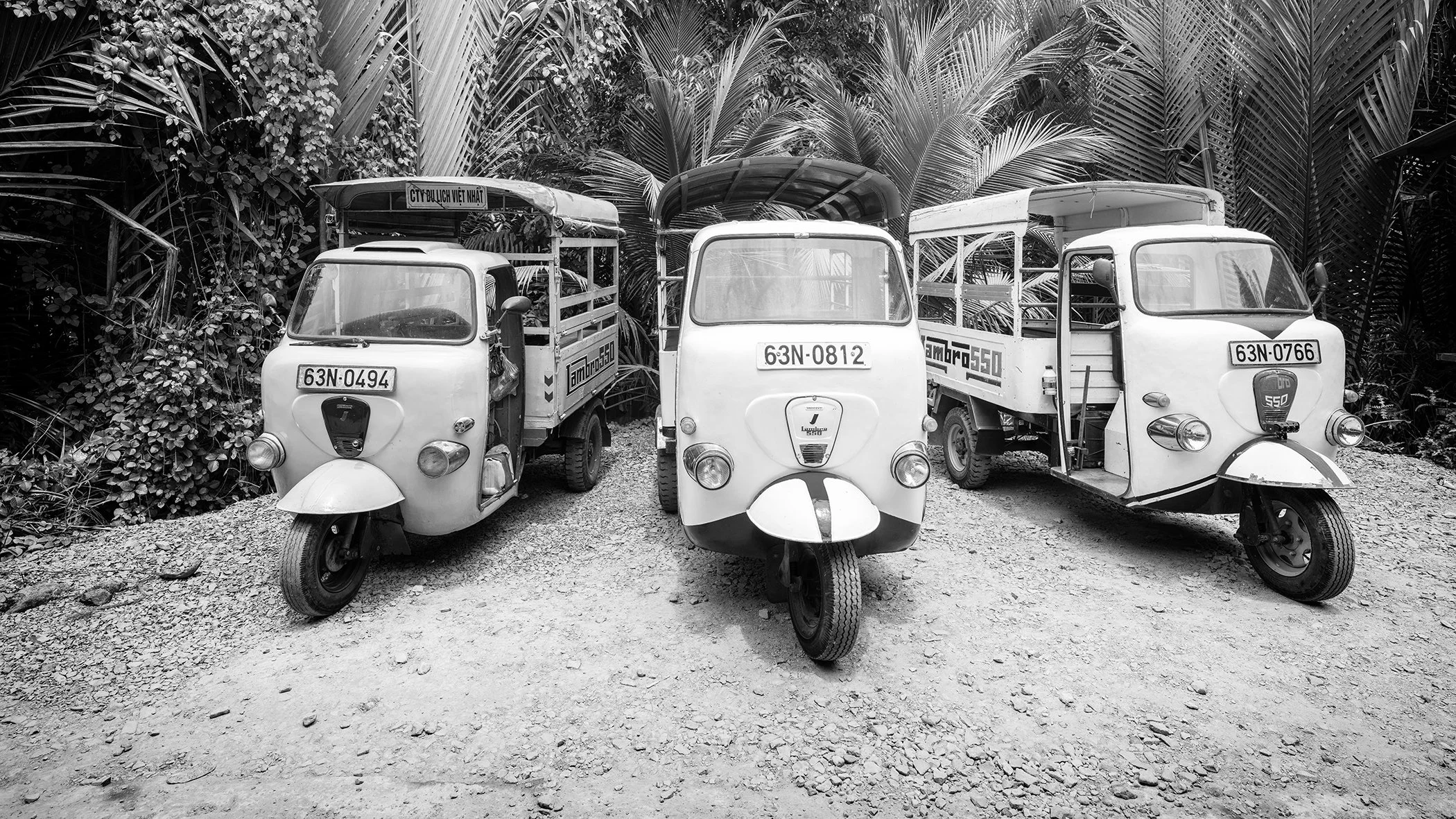 Three vintage tuk-tuks lined up on a gravel road, captured in black and white against lush tropical palms.