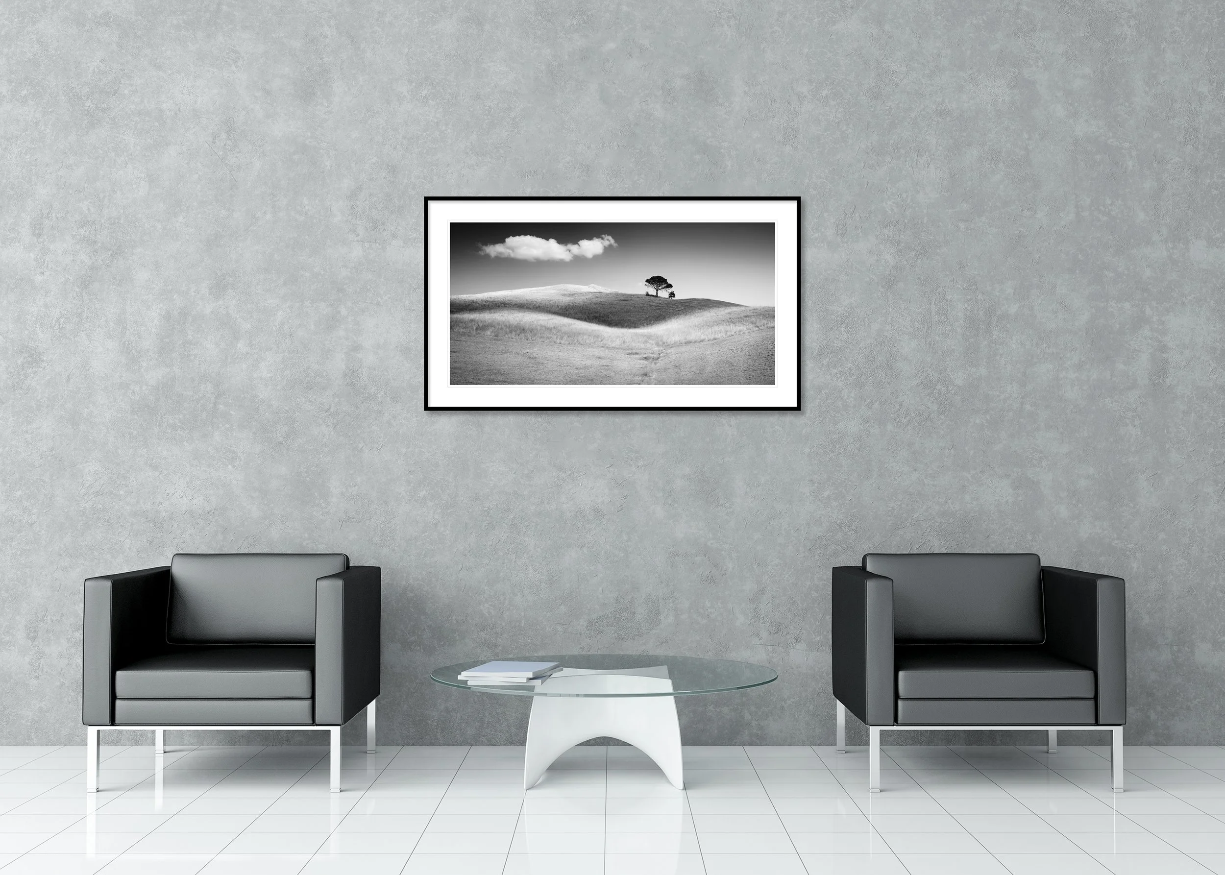 Minimalist black and white photograph of open hills with a solitary tree, archival pigment print in a classic frame with mount