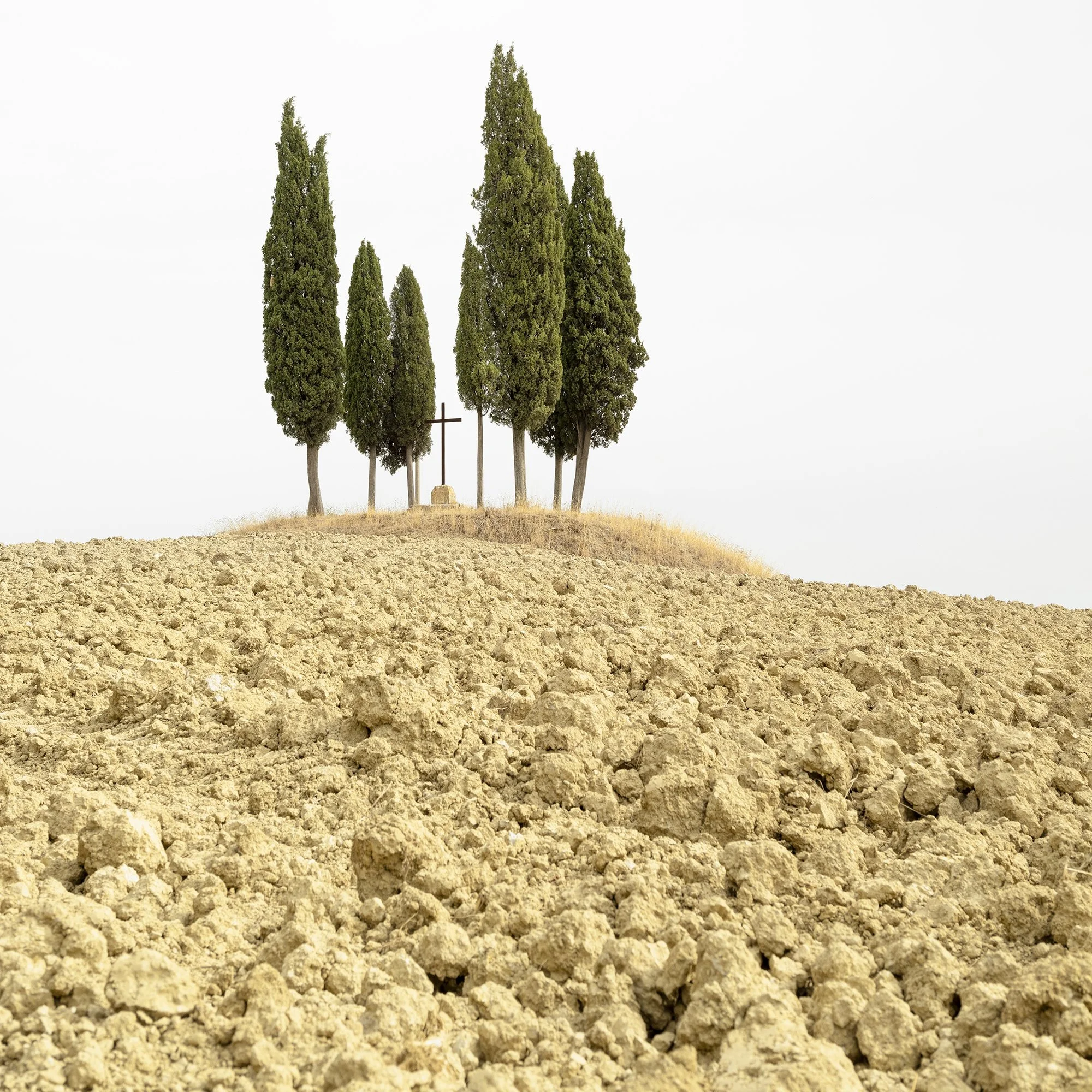 © 2024 Gerald Berghammer - Color minimalist landscape photography. A small group of tall, slender cypress trees on a dry, barren hilltop against a cloudy sky. Print detail 2