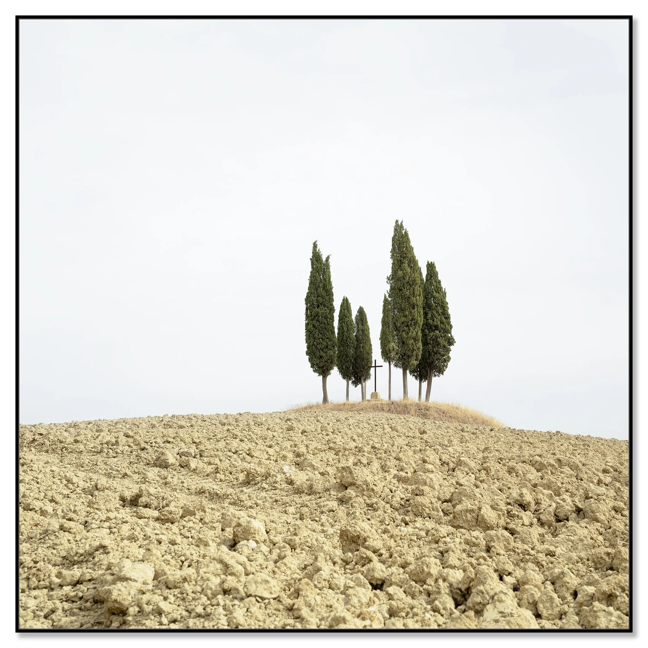 Gerald Berghammer - Color minimalist landscape photography. A small group of tall, slender cypress trees on a dry, barren hilltop against a cloudy sky. Chromaluxe framed black