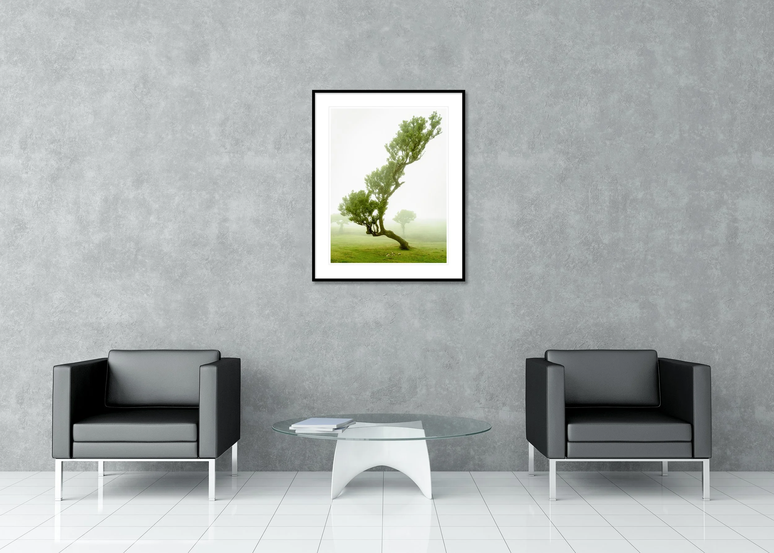 Wind-shaped tree in a foggy meadow, minimalist landscape archival pigment print in a classic frame with a mount.
