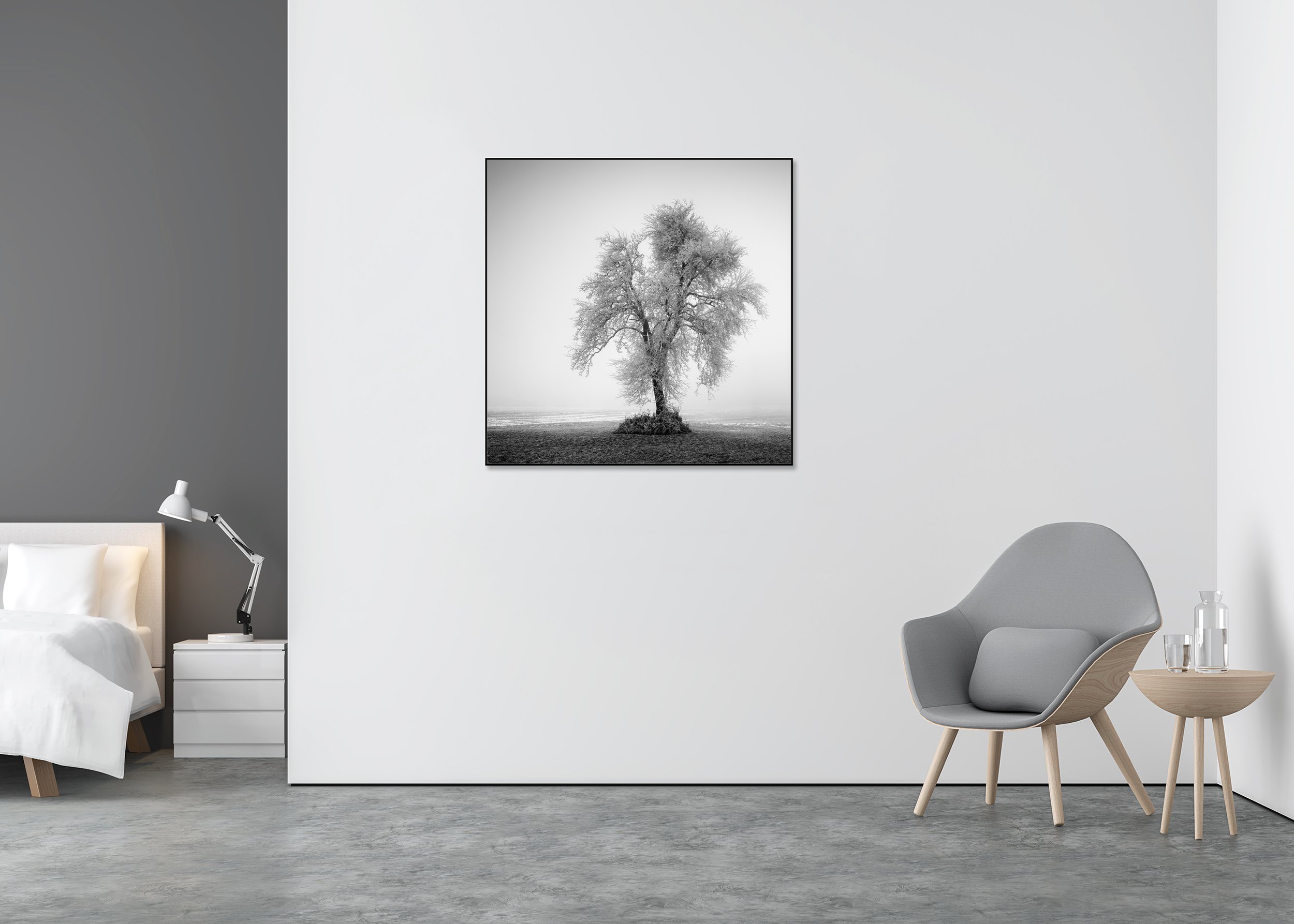 Bare frost-covered tree in a foggy winter field, black-and-white photo print mounted to Dibond in an aluminium ArtBox