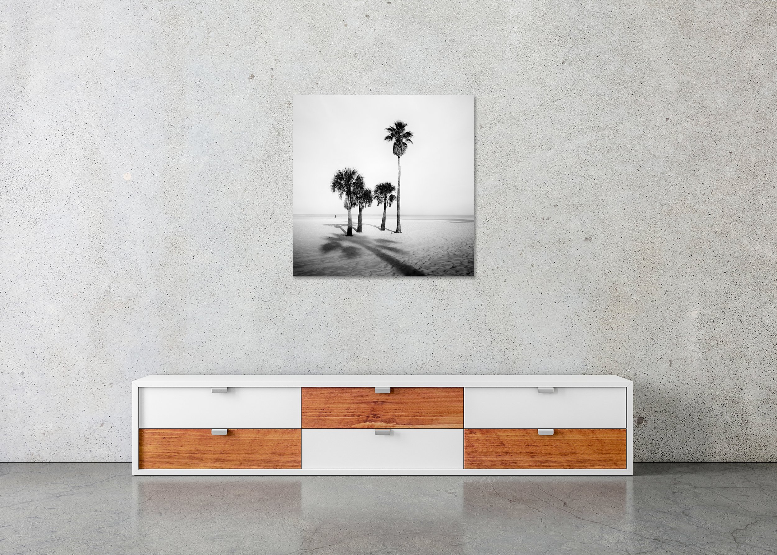 Palm Beach Study 5 displayed in a modern interior as a frameless aluminium Dibond print by Gerald Berghammer.