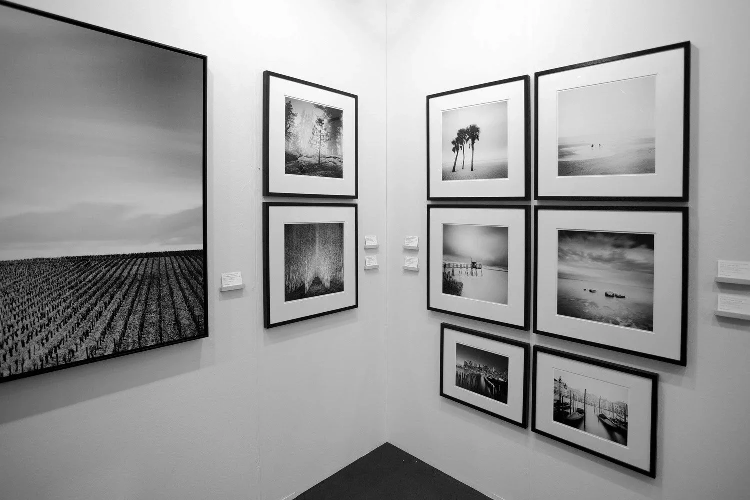 Framed landscape, palm tree and coastal photographs by Gerald Berghammer displayed at art KARLSRUHE 2017 in Germany.