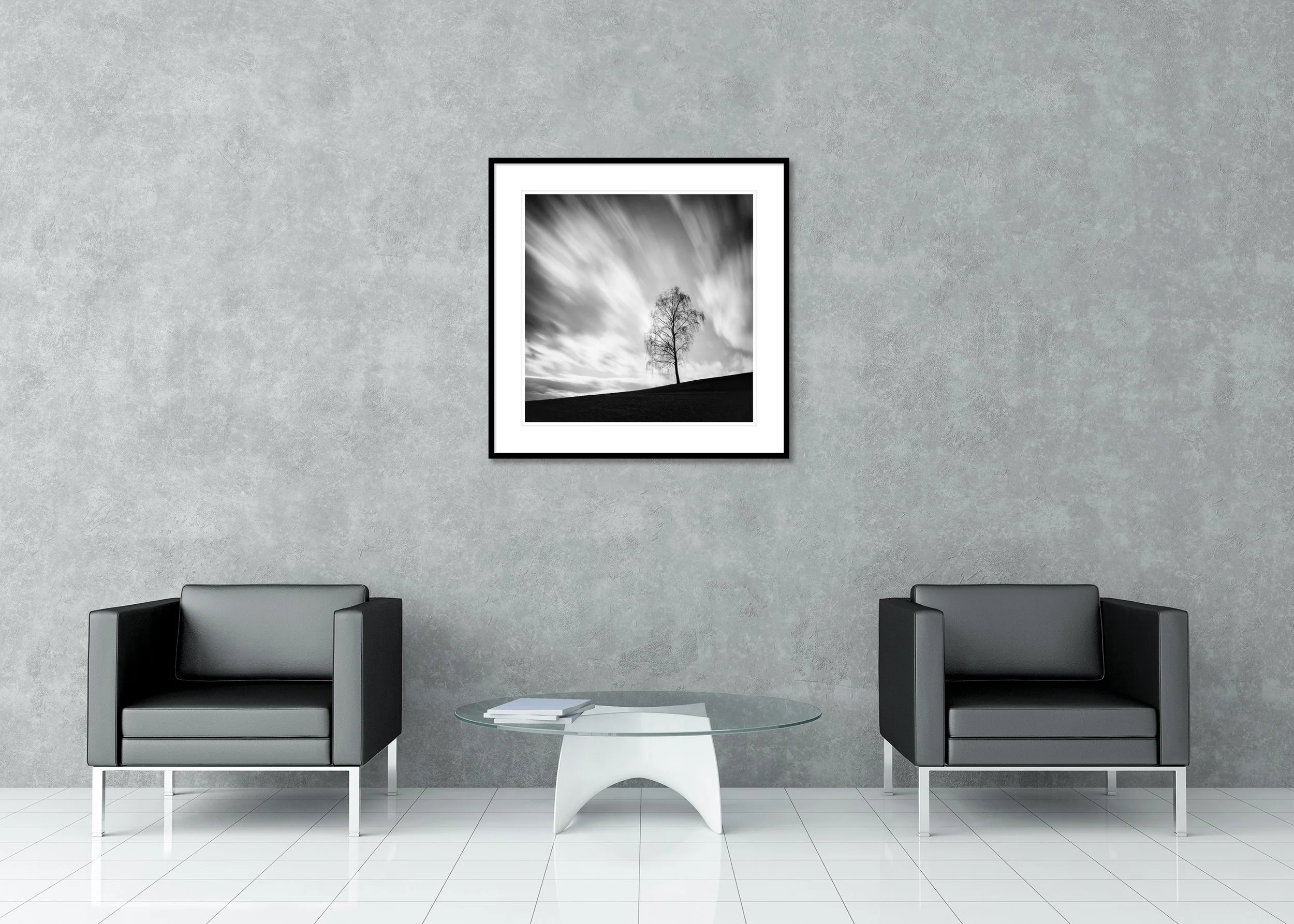 Black Birch displayed in a modern interior as an archival pigment print in a black aluminium frame with a white mount by Gerald Berghammer.