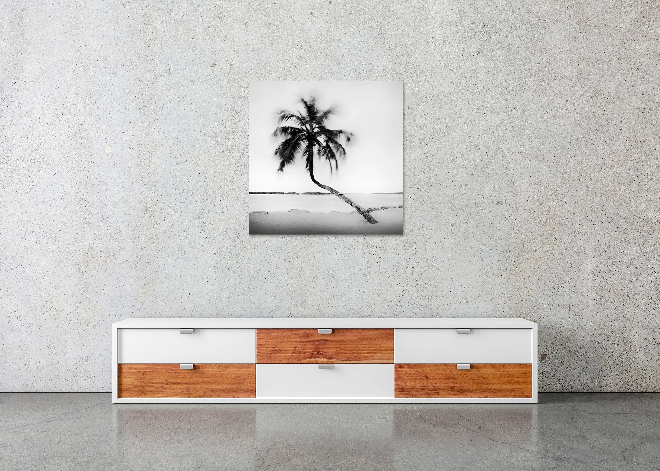 Bent Palm Study 1 displayed in a contemporary interior as a frameless Dibond artwork by Gerald Berghammer.
