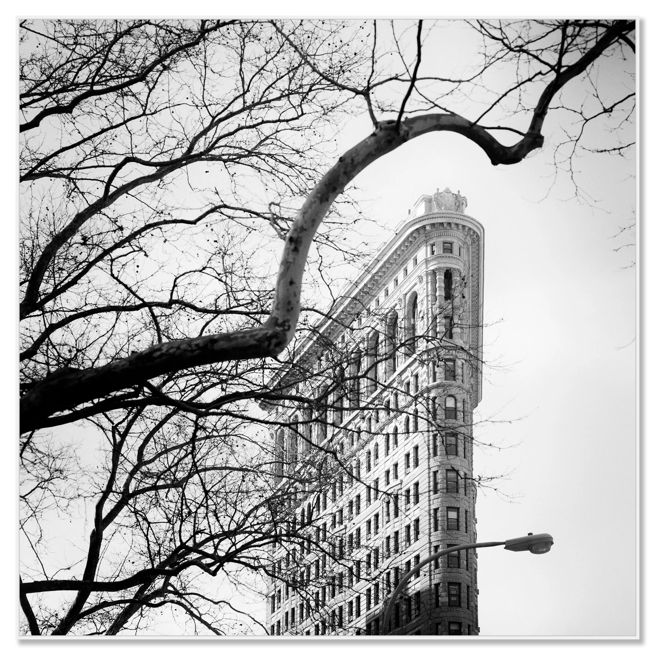 Flatiron Building Study 1 by Gerald Berghammer shown as a black-and-white Dibond print in a white aluminium ArtBox frame.