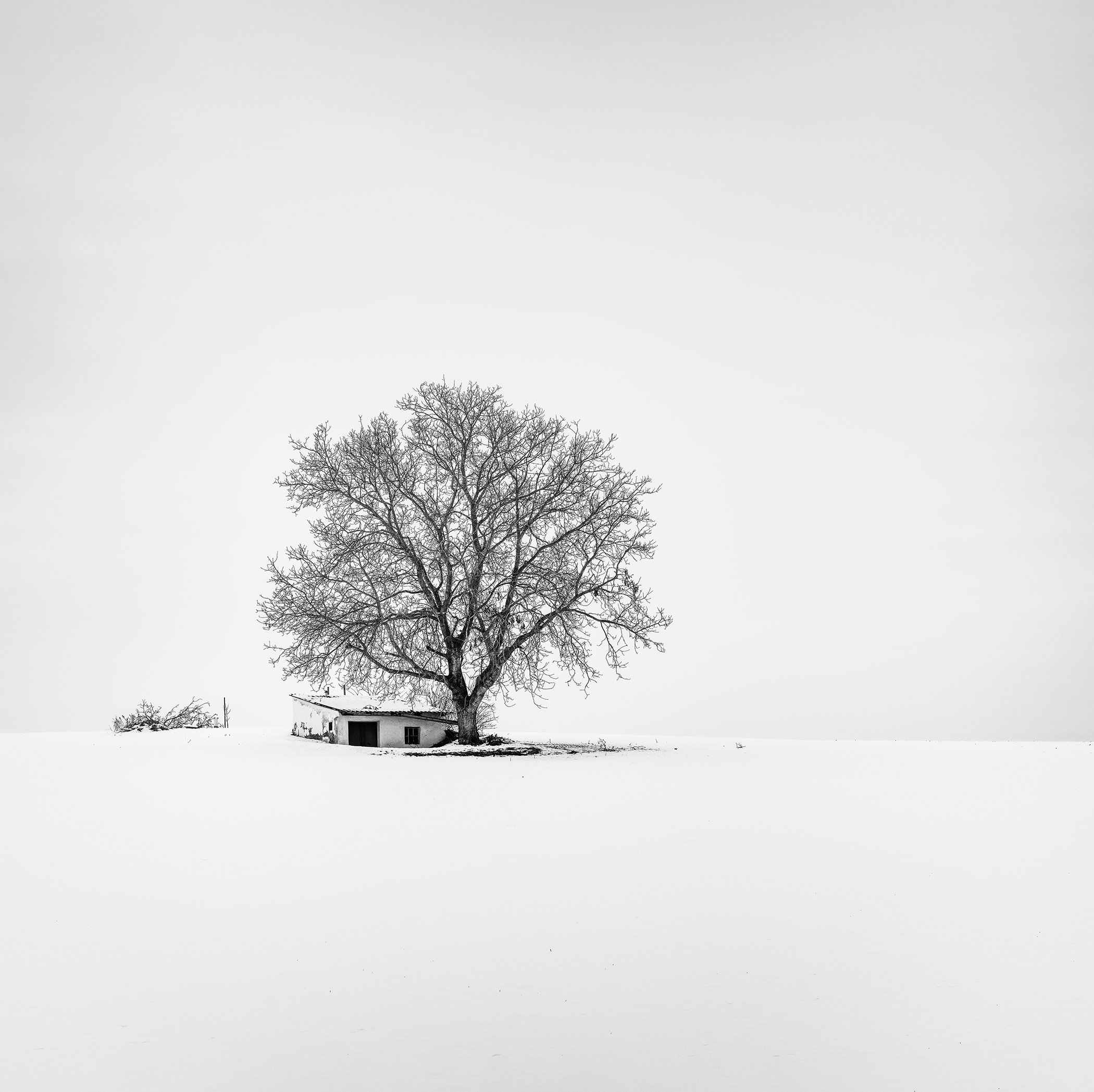 Minimalist black-and-white fine art photograph by Gerald Berghammer showing a bare tree and small rural hut in a snowy Austrian landscape.