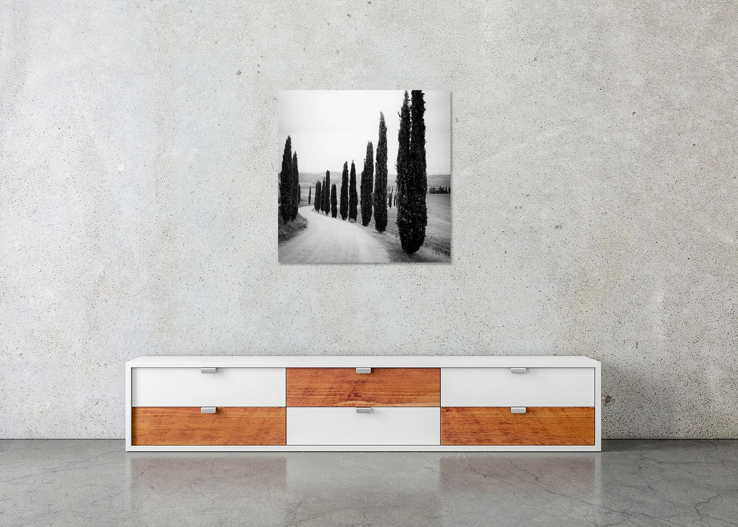 Cypress Trees Along the Road Study 2 displayed in a modern interior as a frameless black-and-white print mounted on aluminium Dibond by Gerald Berghammer.