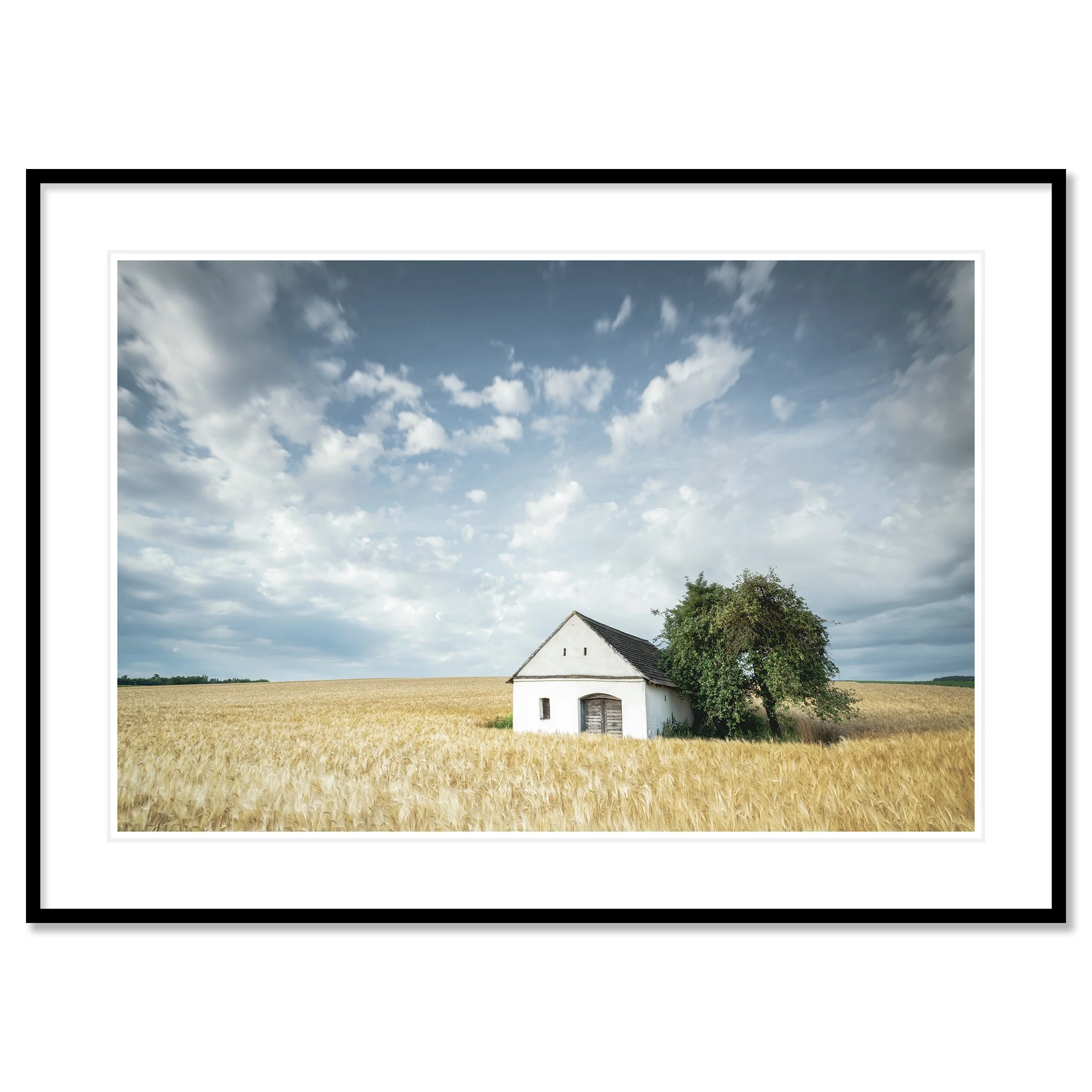 © 2021 Gerald Berghammer - Color Fine Art Landscape Photography. Small wine press in a golden cornfield, beside a large green tree under a partly cloudy sky. Classic framed black