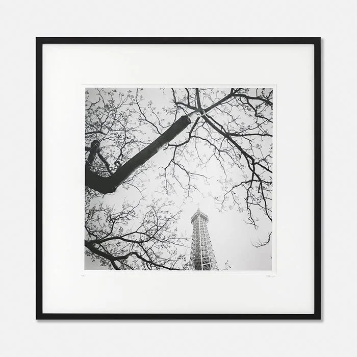 Tree and the Tower, Paris, France, Edition 1/9