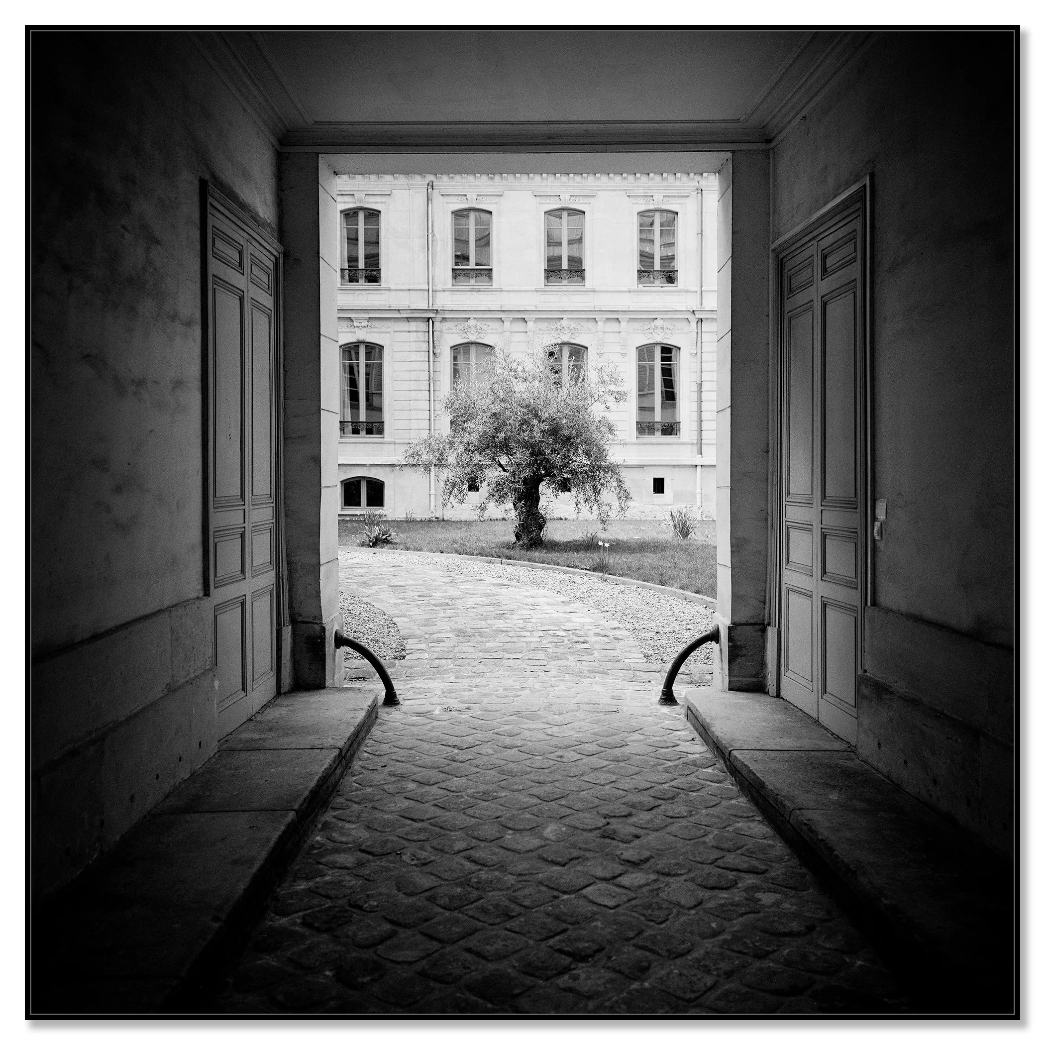 Tree in the Courtyard mounted on aluminium Dibond in a black ArtBox frame by Gerald Berghammer.