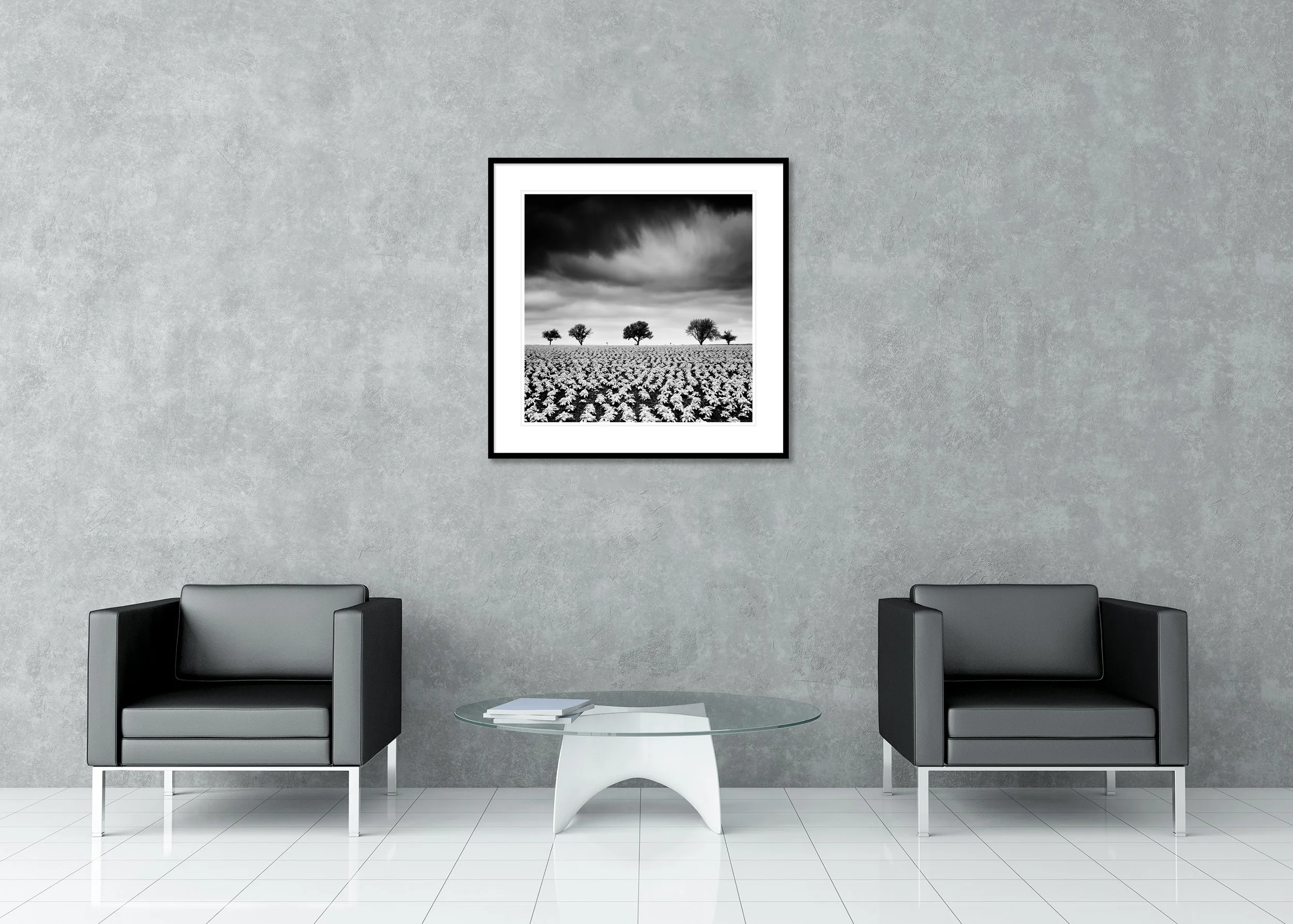 Black and white fine art landscape of a broad potato field with young plants and five distant trees under a dramatic sky — archival pigment print in a classic frame with passe-partout.