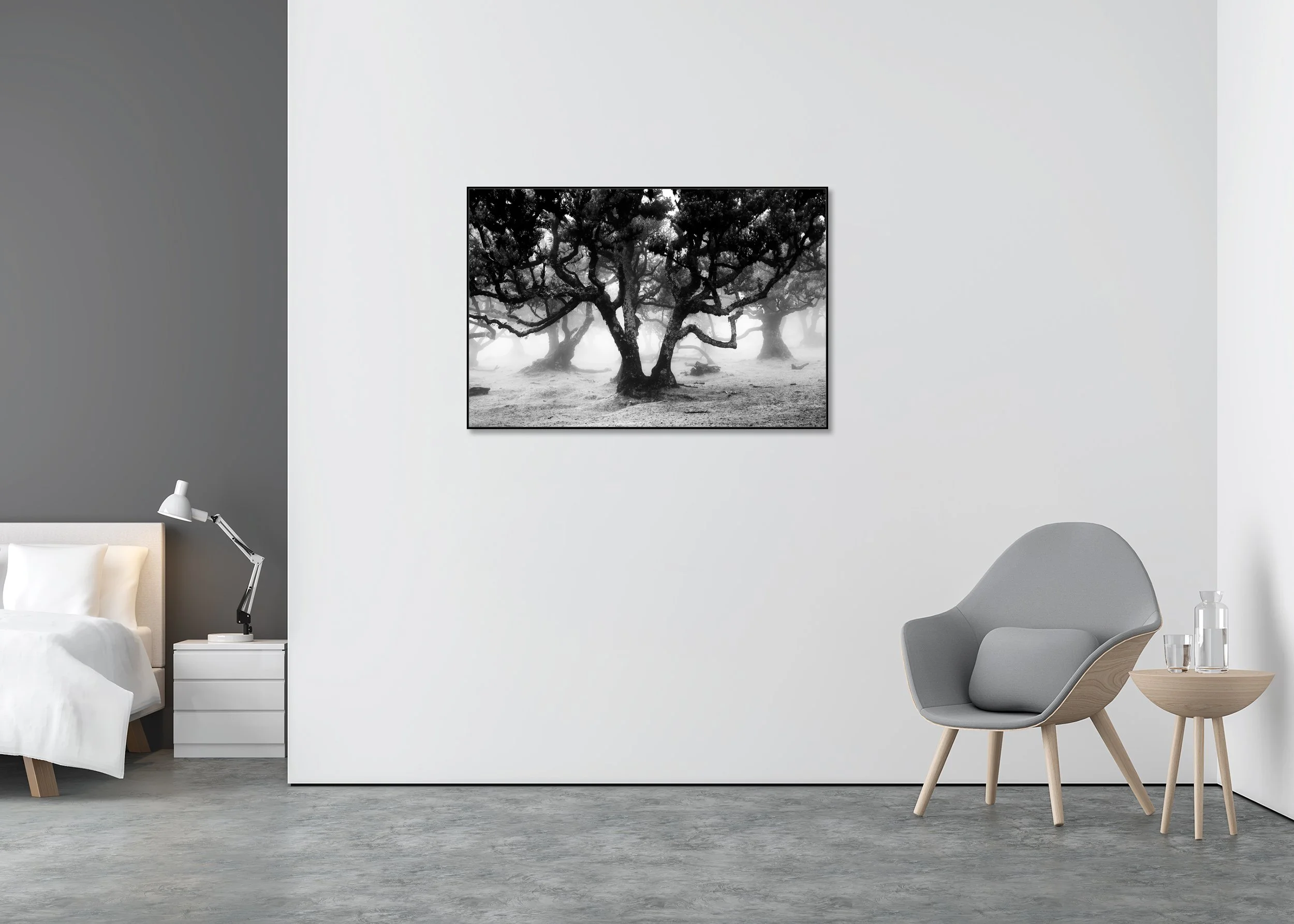 Moody black and white forest scene with ancient twisted trees, photo print mounted to Dibond in an aluminium ArtBox