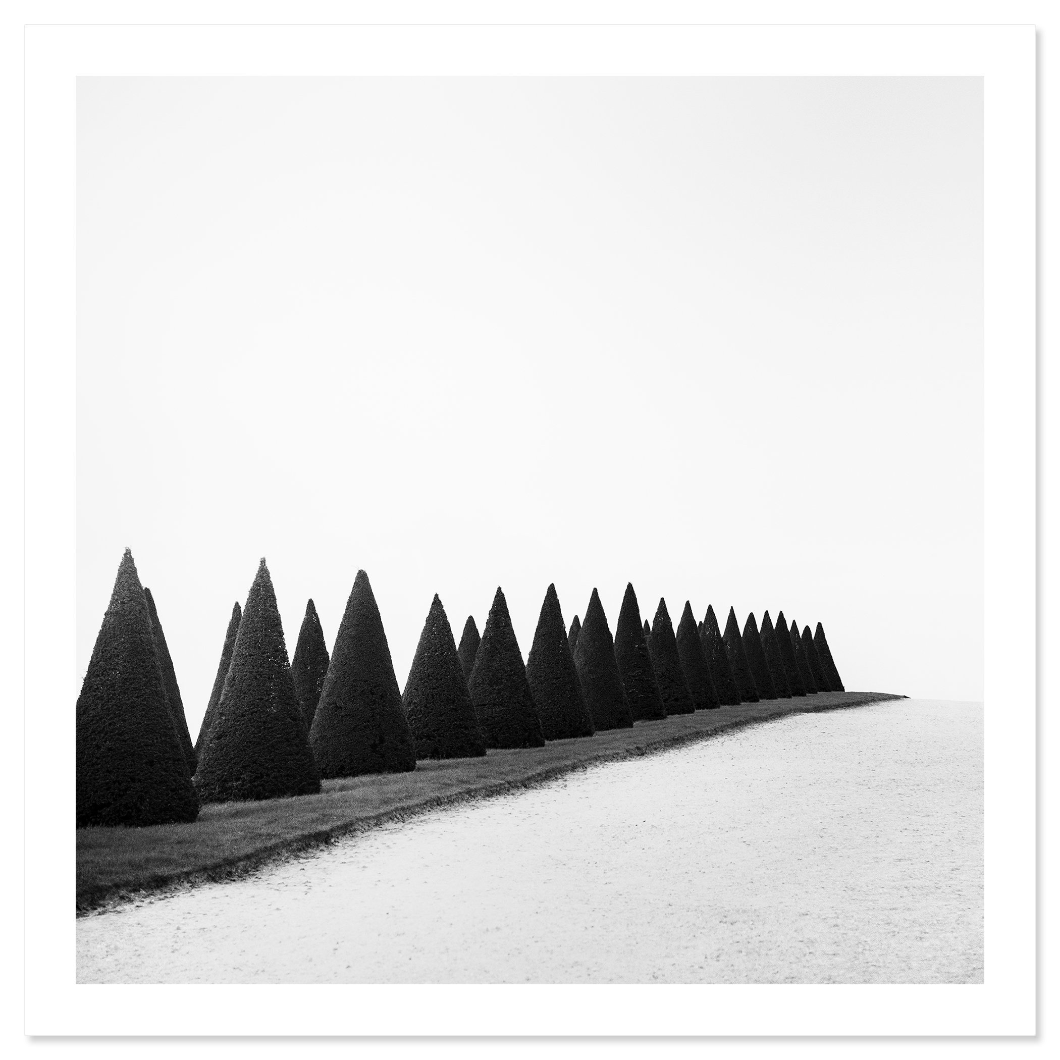 Hedges, Study 1 – black-and-white fine art print of sculpted topiary hedges in the Gardens of Versailles, France, by Gerald Berghammer.