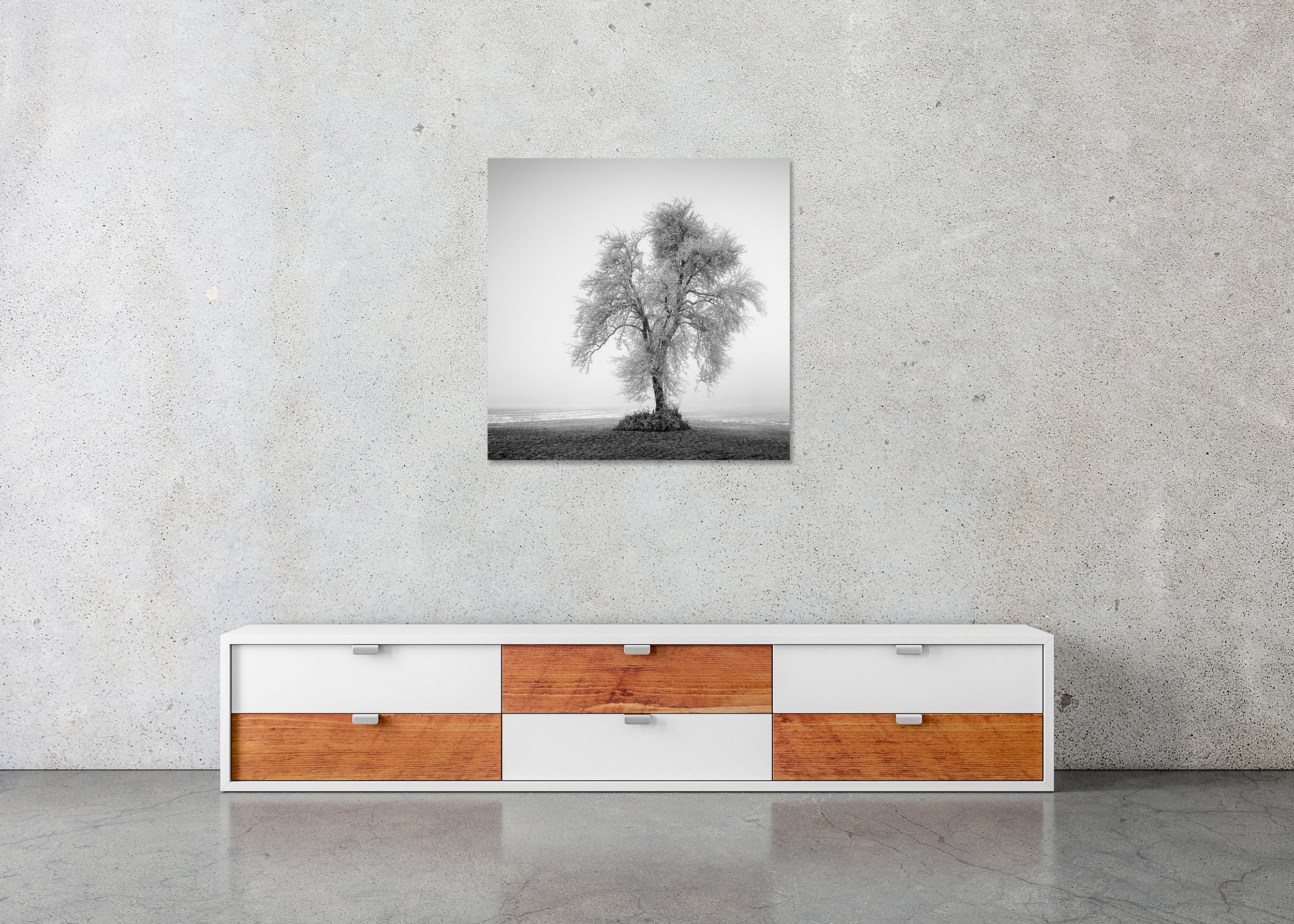 Hoarfrosted Lonely Tree, Study 1 displayed in a modern interior as a frameless black-and-white aluminium Dibond print by Gerald Berghammer.