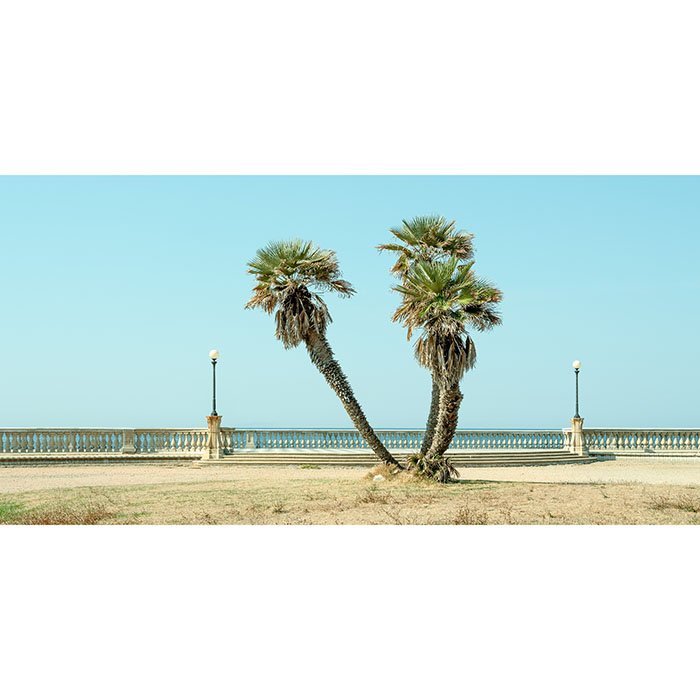 Twin Palms by the Sea – Tuscany | Gerald Berghammer