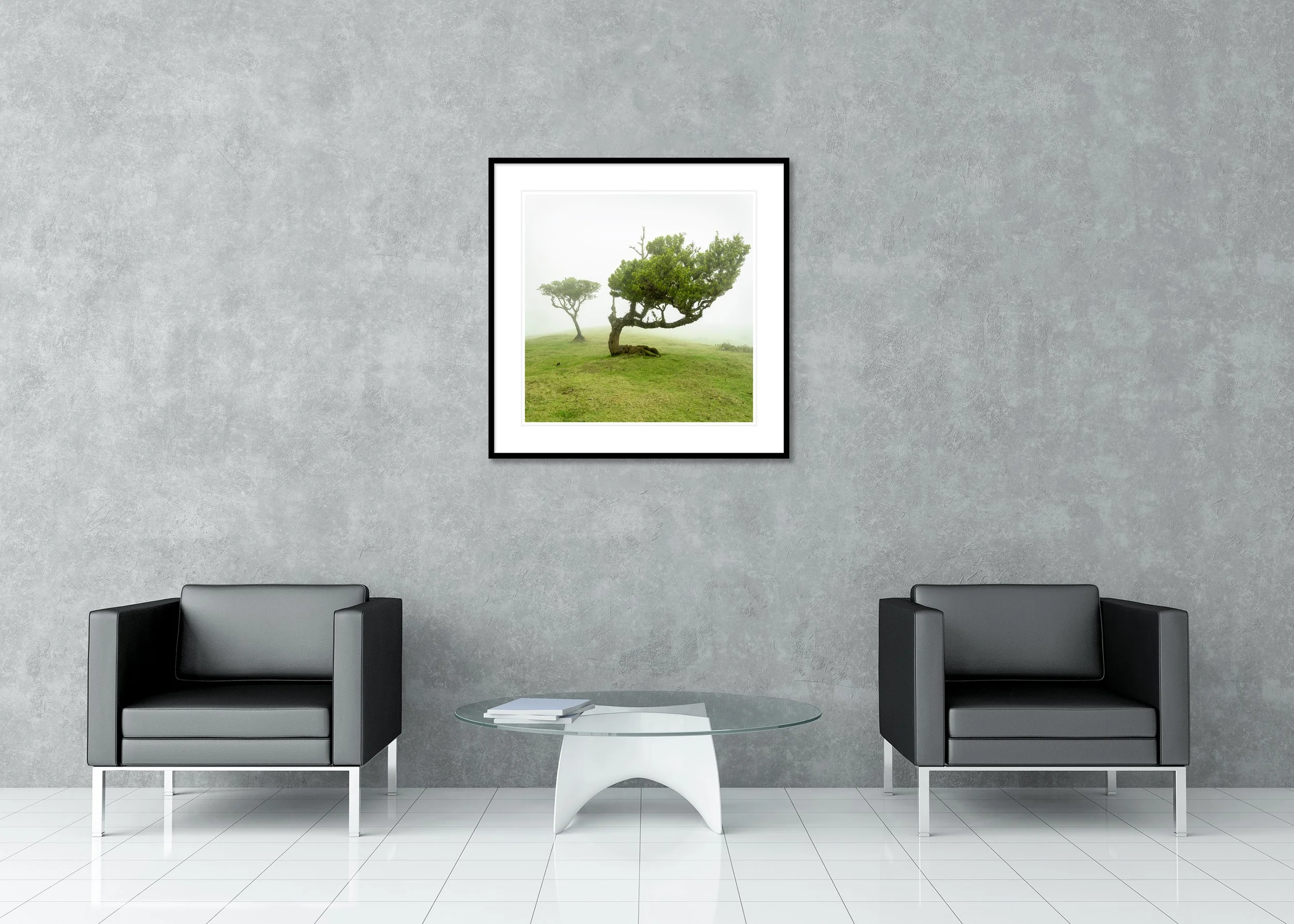Wind-shaped trees in a misty green meadow in Madeira, emerging from fog; archival pigment print in a classic frame with mount