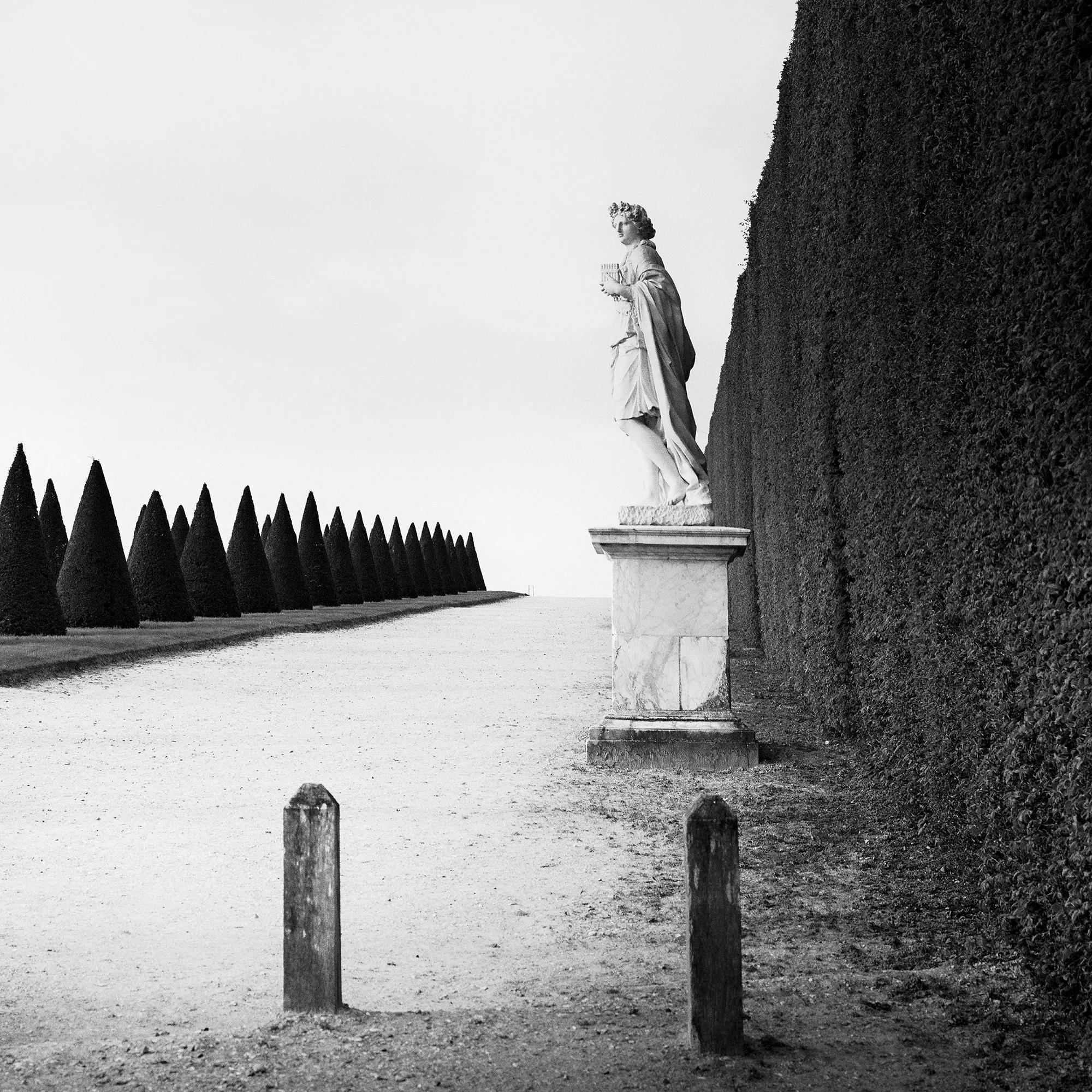 © 2017 Gerald Berghammer - Black and white landscape photography. Statue of a person along a tall hedge, with a row of trimmed cone-shaped trees. Print detail 2