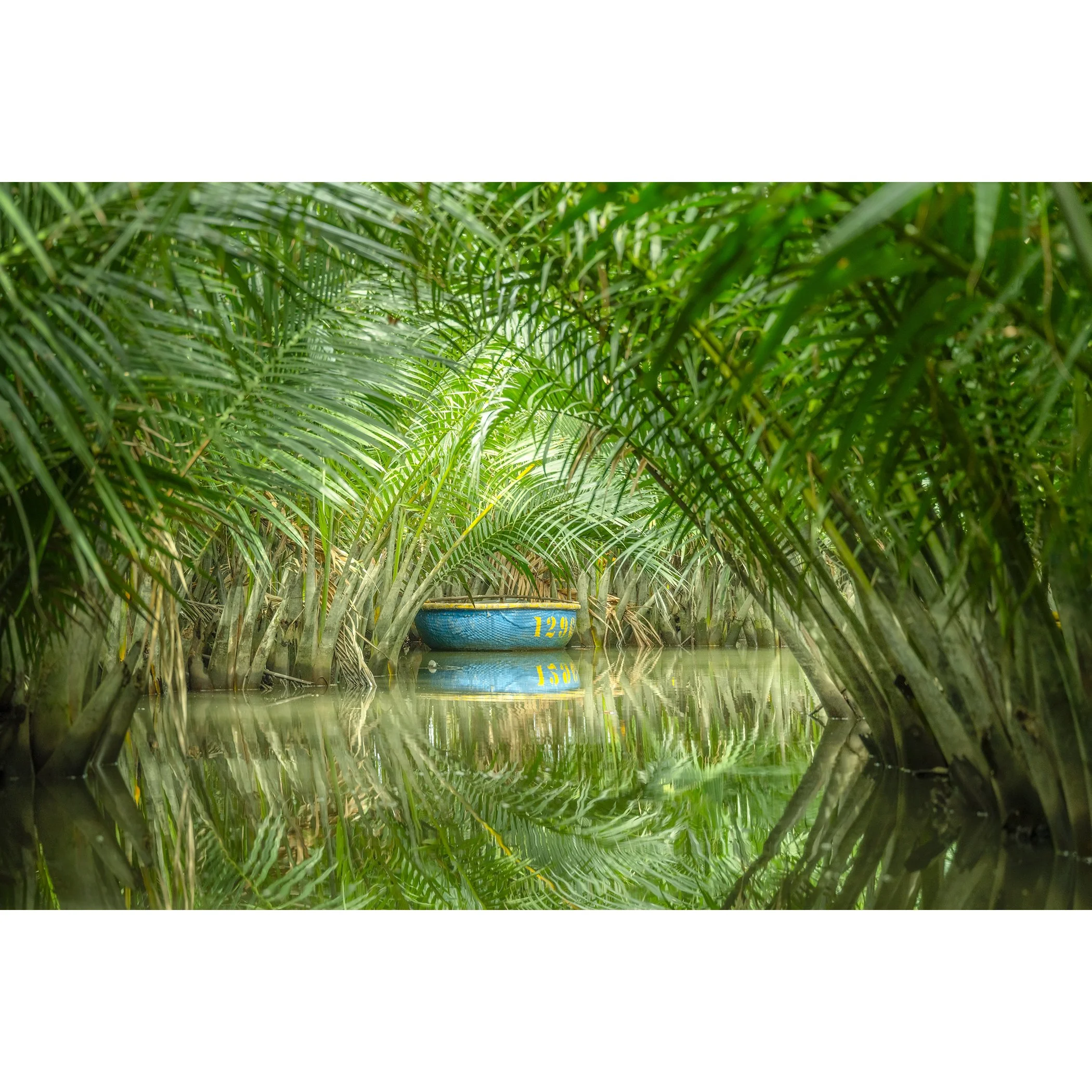© 2025 Gerald Berghammer - Color waterscape photography. A small coconut boat among dense green nipa palm trees on a calm water body, with its reflection visible.