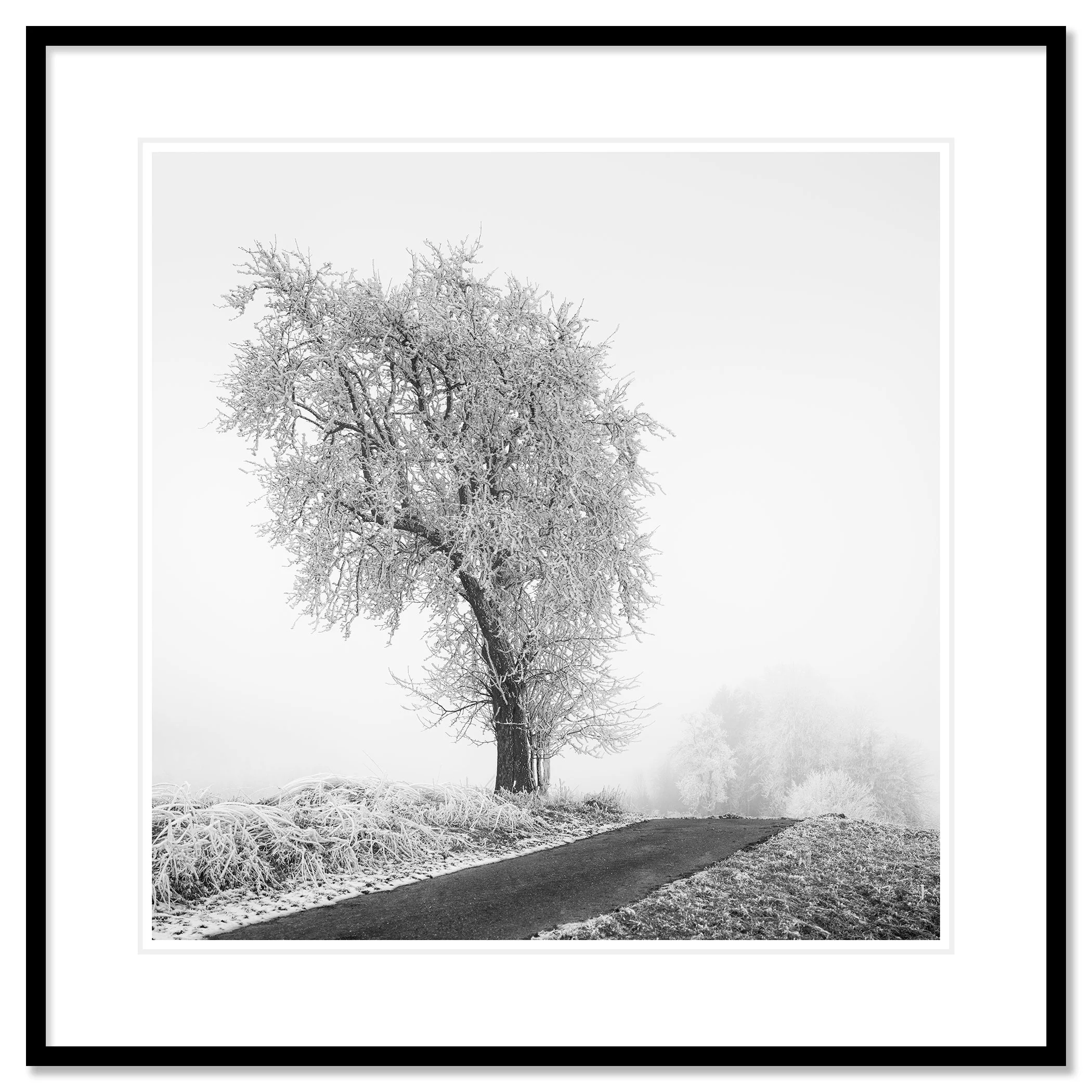 Frozen Farmland Study 3 by Gerald Berghammer, black-and-white Austrian winter landscape presented in a black aluminium frame with a white mount.