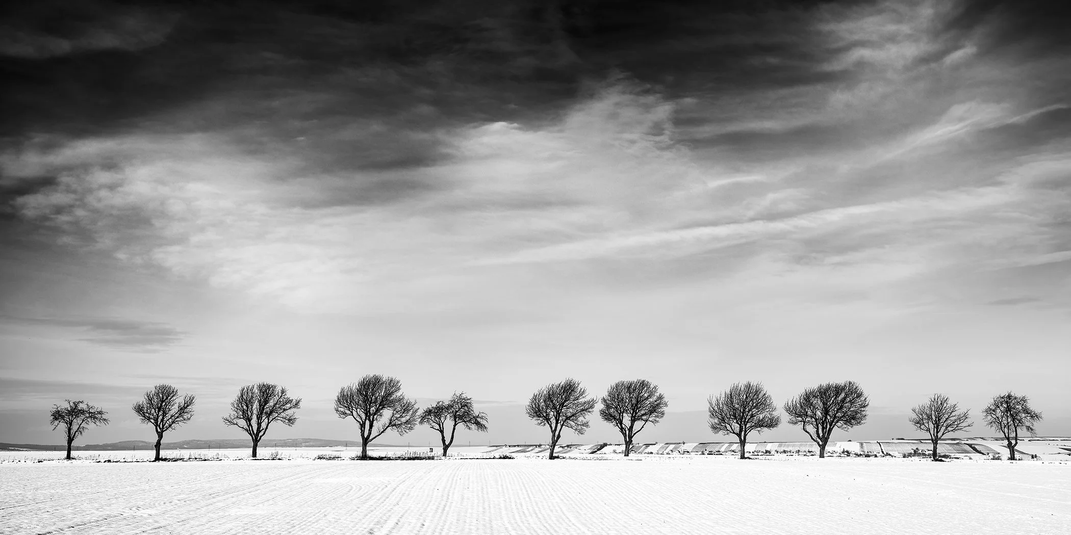 Panoramic black and white photograph of leafless trees in a quiet snowy countryside landscape.