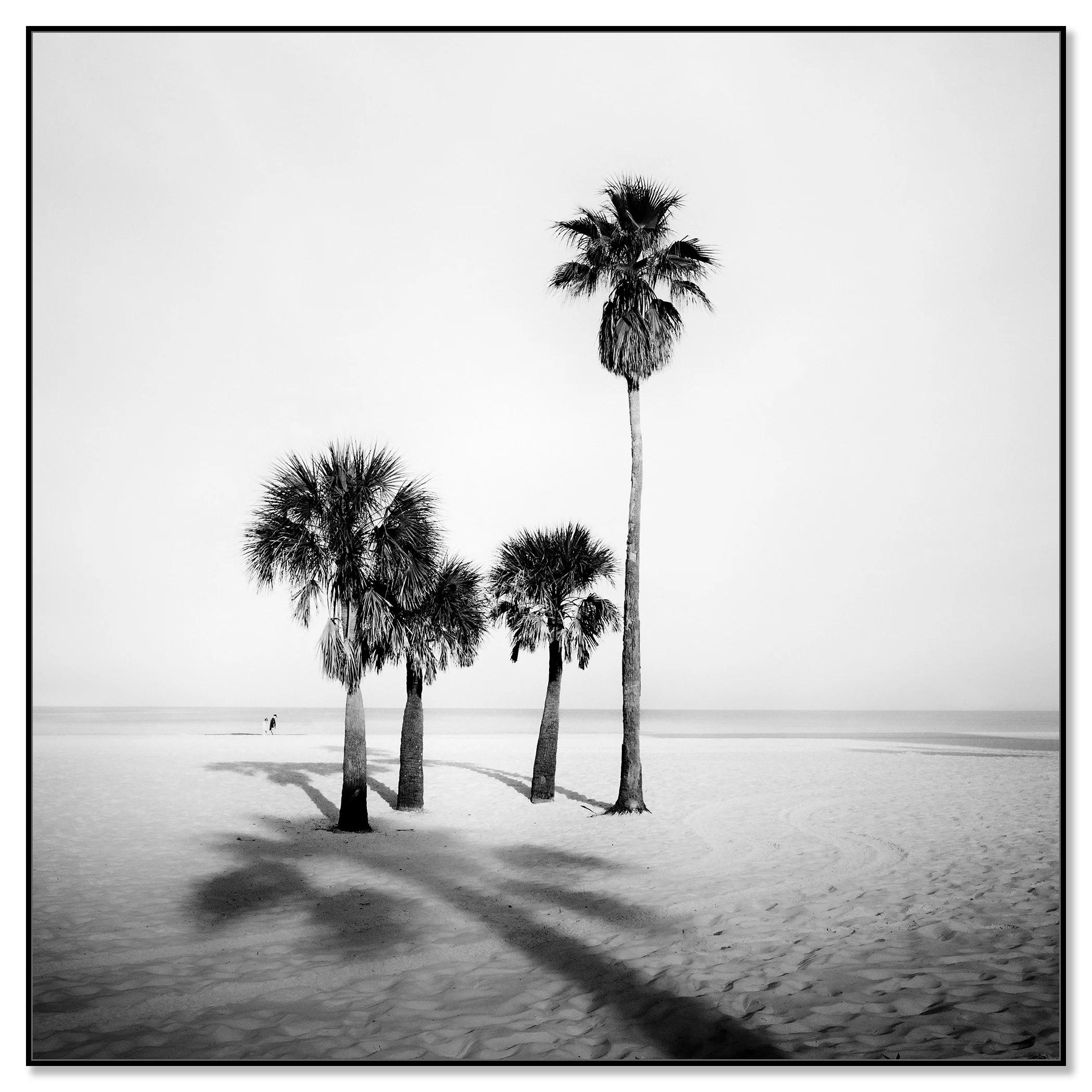 Palm Beach Study 5 shown in a black aluminium ArtBox frame by Gerald Berghammer.