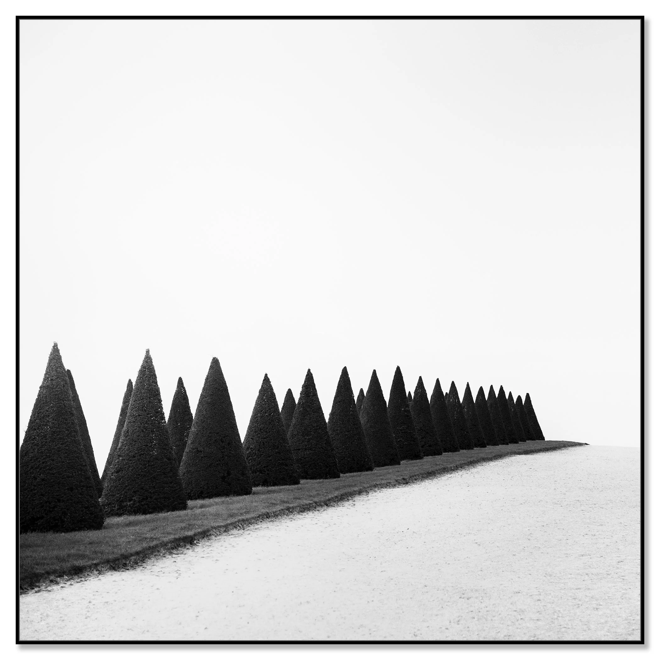 Hedges, Study 1 – black-and-white photograph of Versailles hedges mounted on Dibond in a black aluminium ArtBox by Gerald Berghammer.