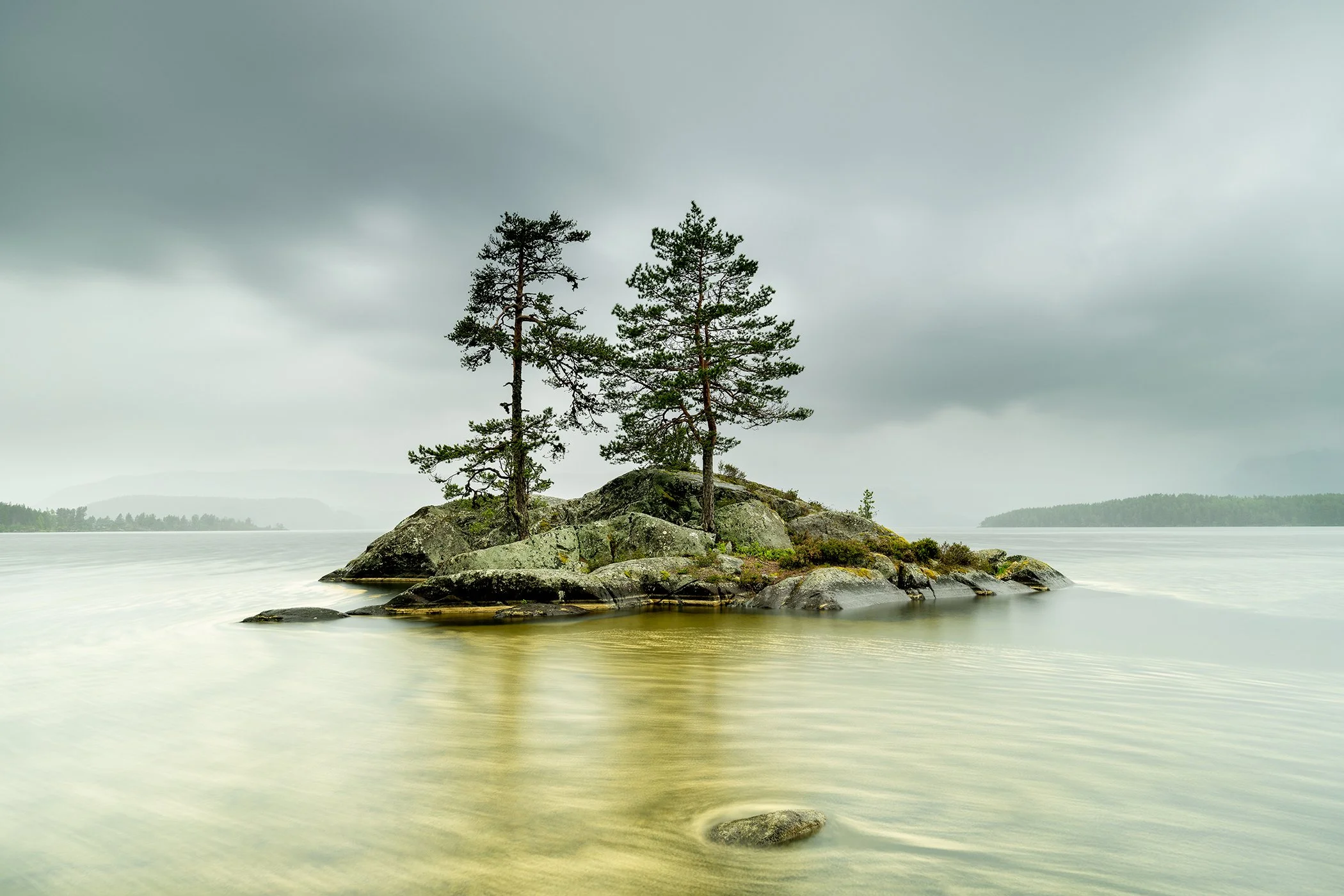Small rocky island with two pine trees in calm, shallow lake water under an overcast sky, Norway