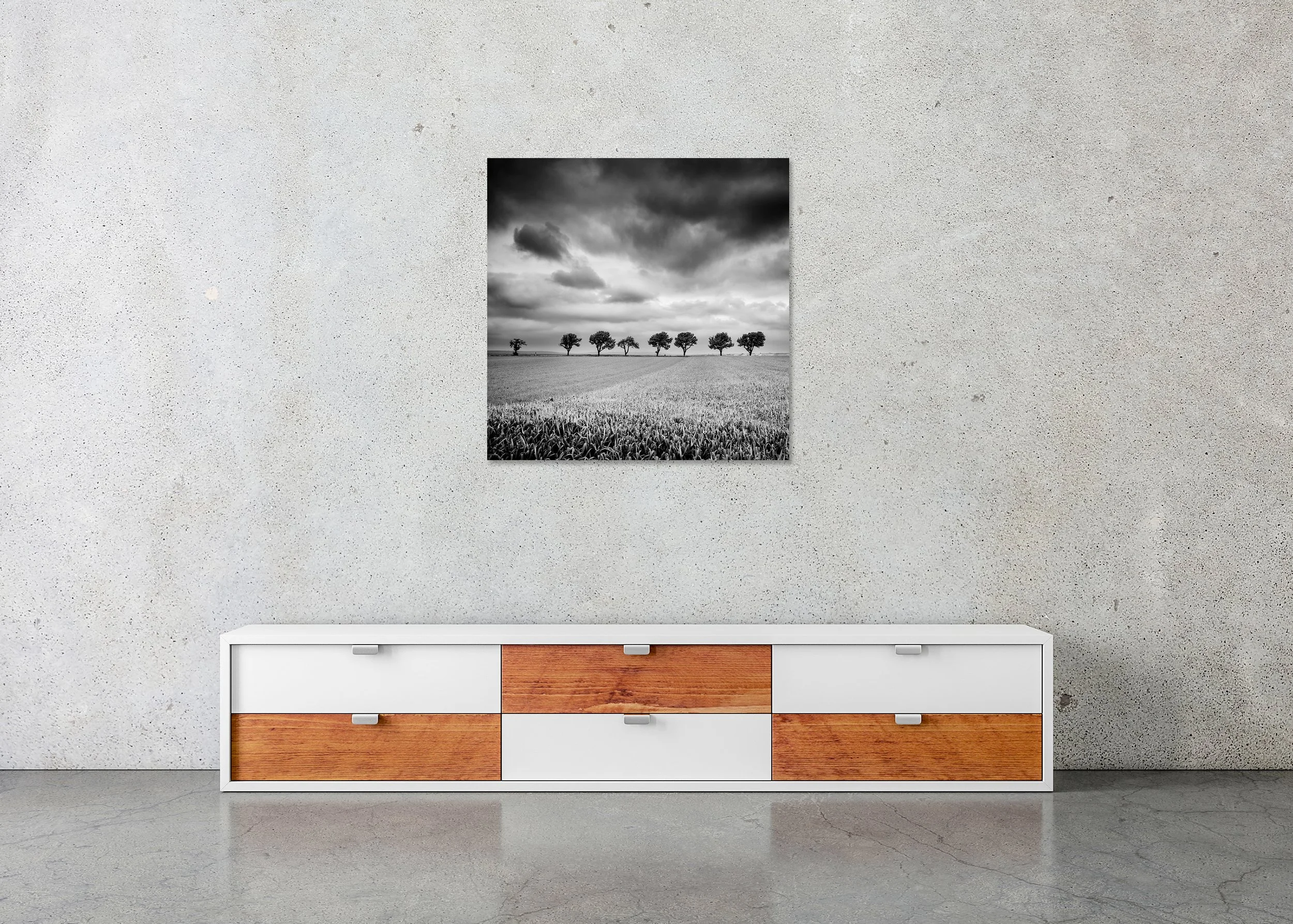Gerald Berghammer - Row of Eleven Cherry Trees, stormy clouds, landscape, Austria, ChromaLuxe print on aluminium, frameless