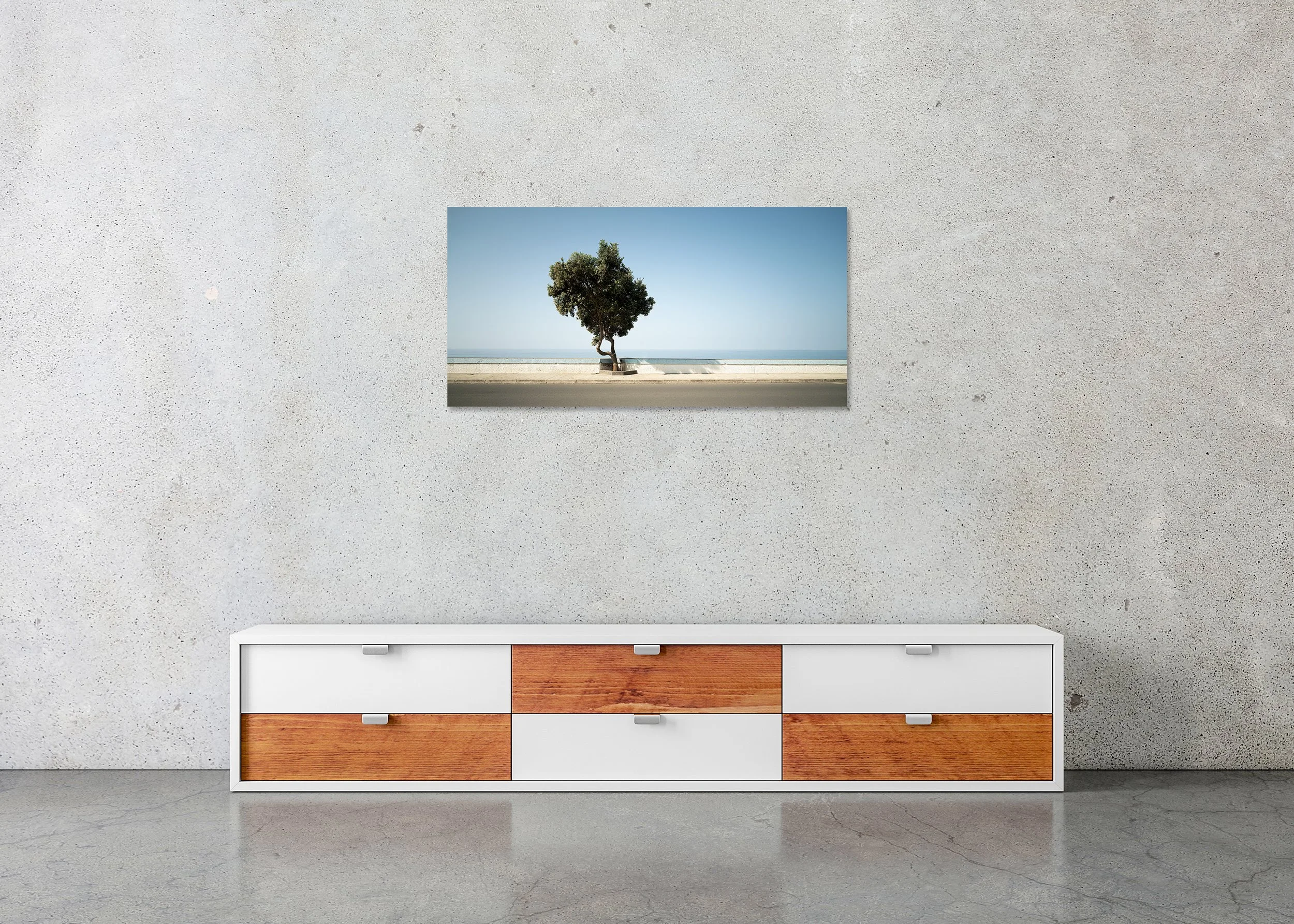 Solitary tree beside a quiet coastal road overlooking the calm blue sea, photo print mounted to Dibond, frameless