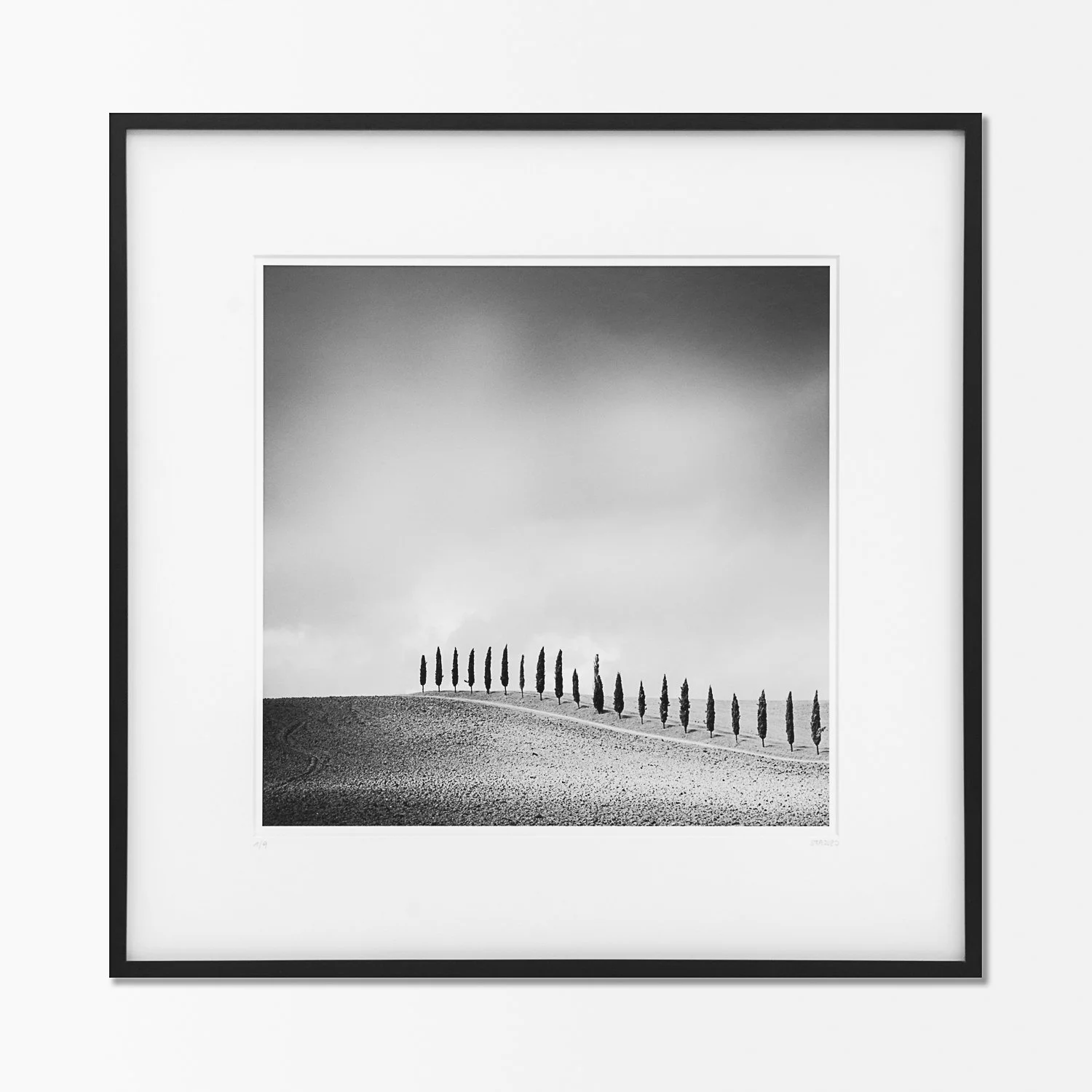 Framed black-and-white fine art photograph Row of Cypress Trees 1, Tuscany, Italy, by Gerald Berghammer, with an archival mount.