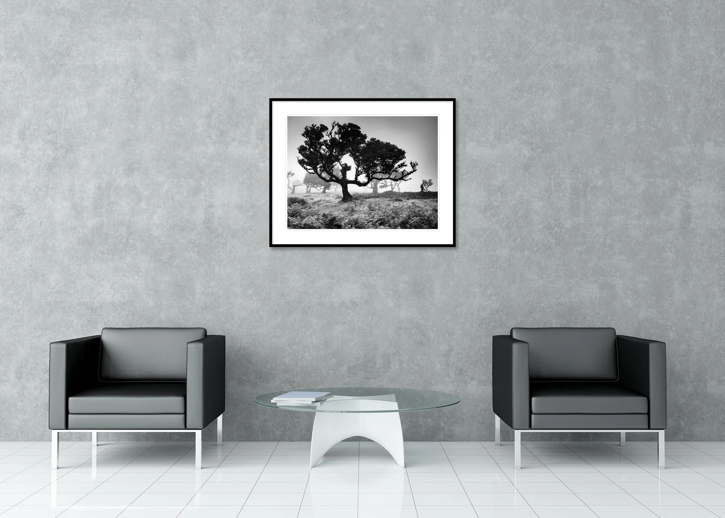 Old wind-shaped trees in a foggy landscape in Fanal, Madeira, archival pigment print in a classic frame with a mount
