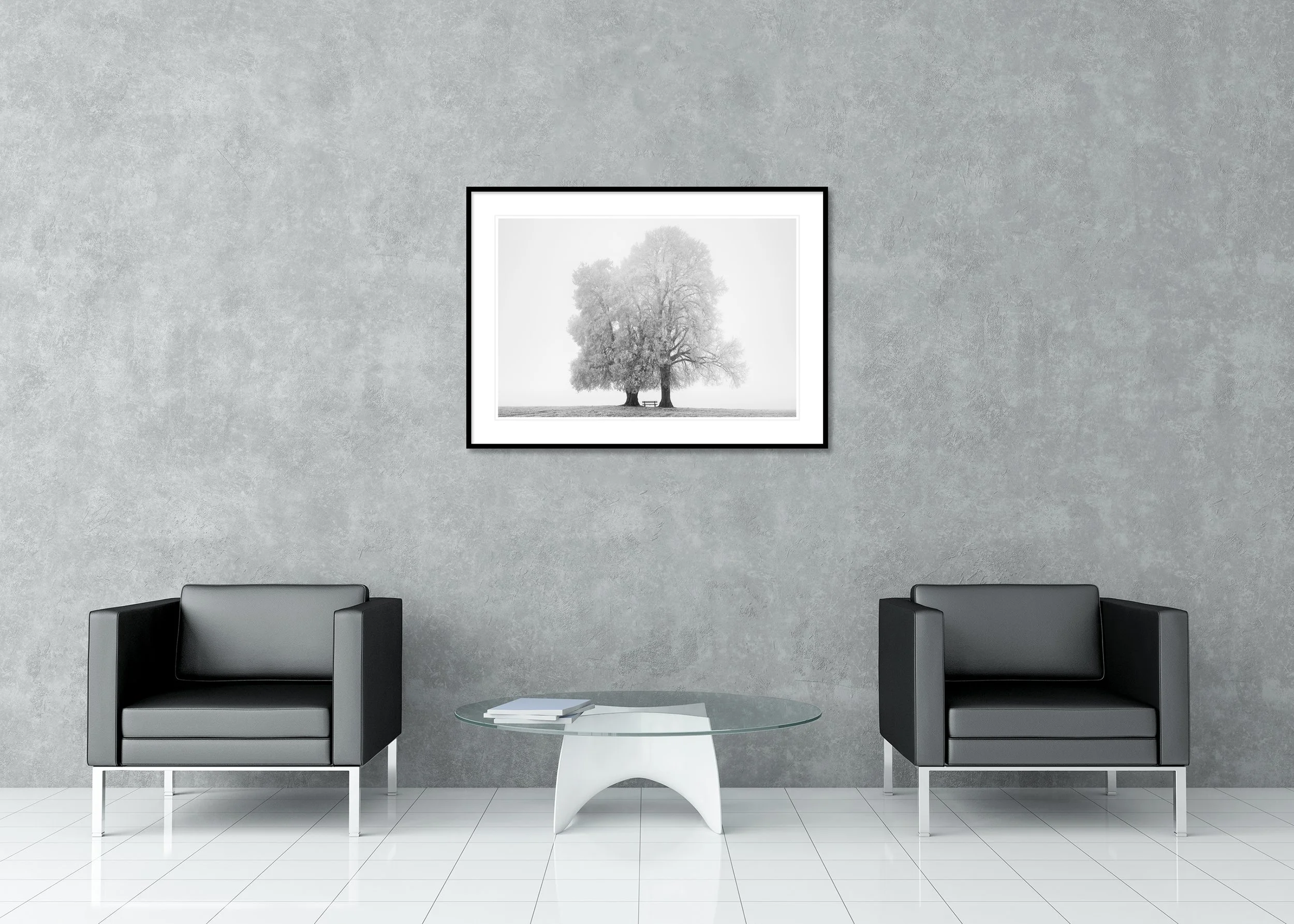 Gerald Berghammer - Place to Linger Winter, minimalist farmland, two trees, Austria, Archival pigment print, aluminium frame, passe-partout, anti reflex glass