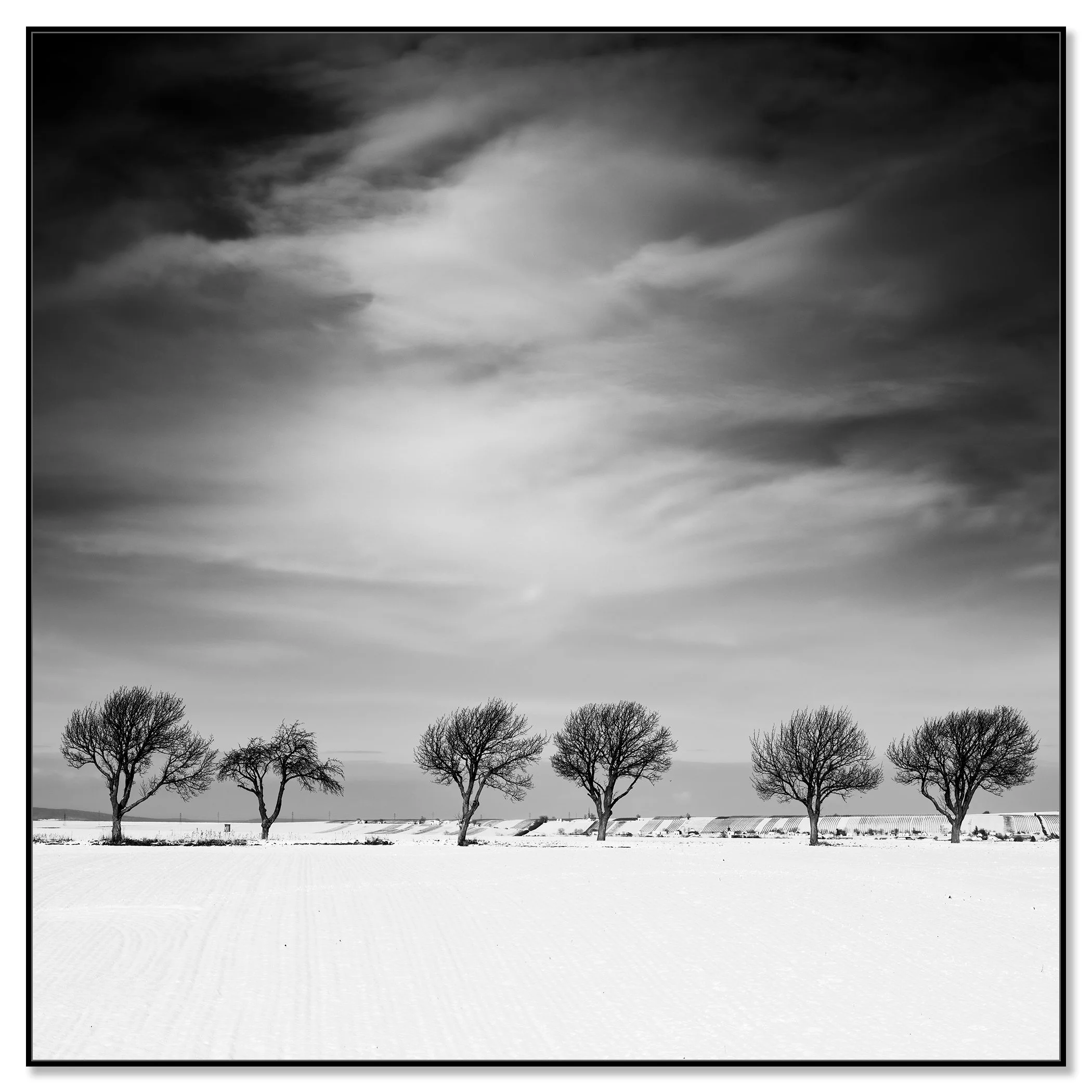 Cherry Tree in Winter, Study 1 – black-and-white ChromaLuxe print in a black aluminium ArtBox. Photo by Gerald Berghammer.