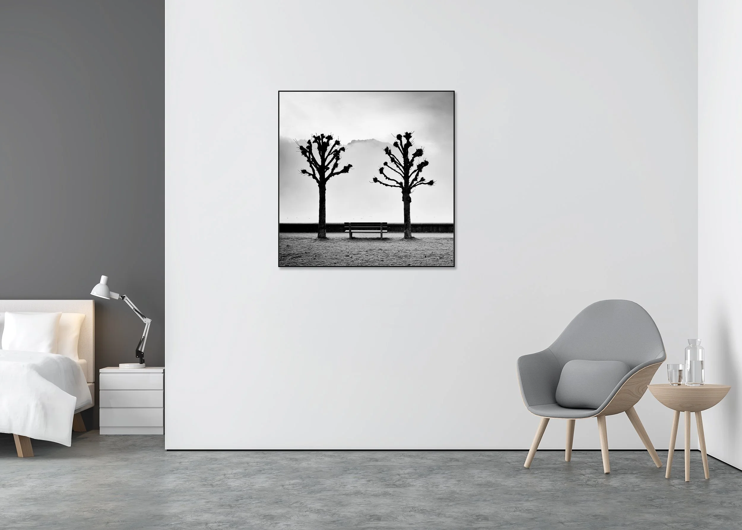 Symmetrical black-and-white photo of pruned trees framing a centred bench on a misty lakeside promenade, mounted to Dibond in an aluminium ArtBox.